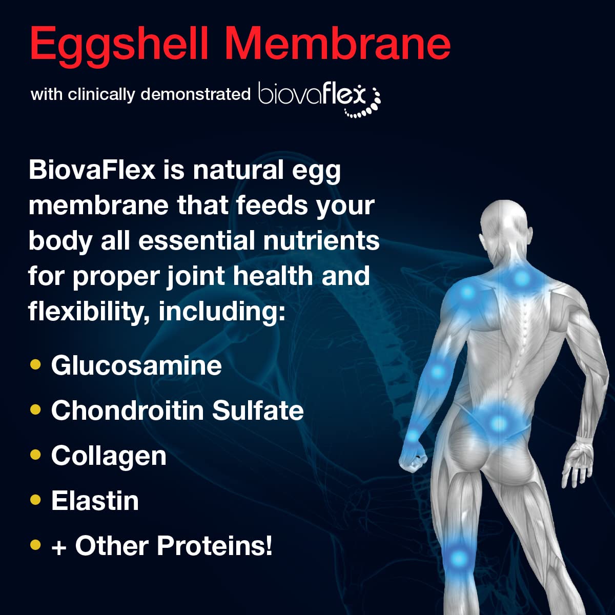 Aurora Nutrascience Micro-Pack Liposomal exoFlex+ with Vitamin C, Supports Joint Flexibility & Function, BiovaFlex Eggshell Membrane, Curcumin & Boswellia, Strwaberry Flavor, 30 Servings, 10 fl oz Vida Lifescience buy supplements canada