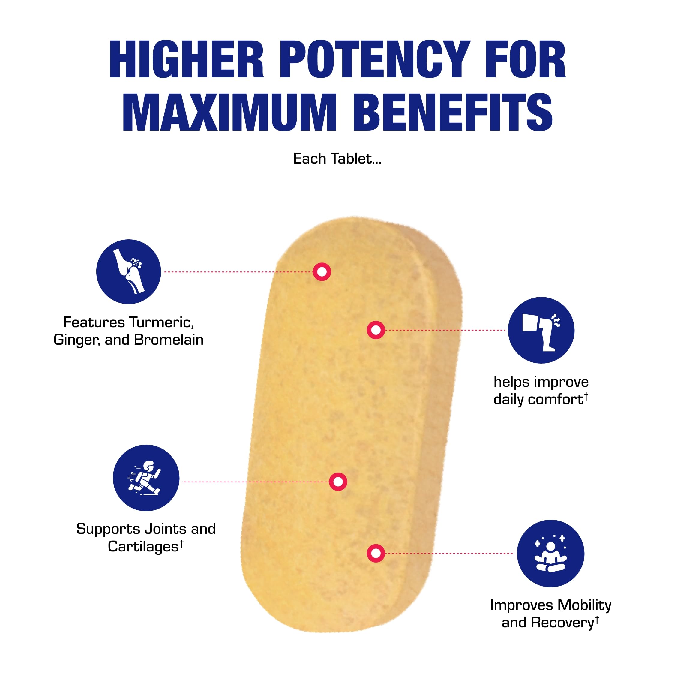 Pro ENZ Joint Support Supplement - Clinical Formula Turmeric Boswellia Supplement for Joint & Cartilage Mobility and Comfort Support Plus Eicosanoid Management with Proteolytic Enzymes (120 Servings) Anabolic Laboratories buy supplements canada