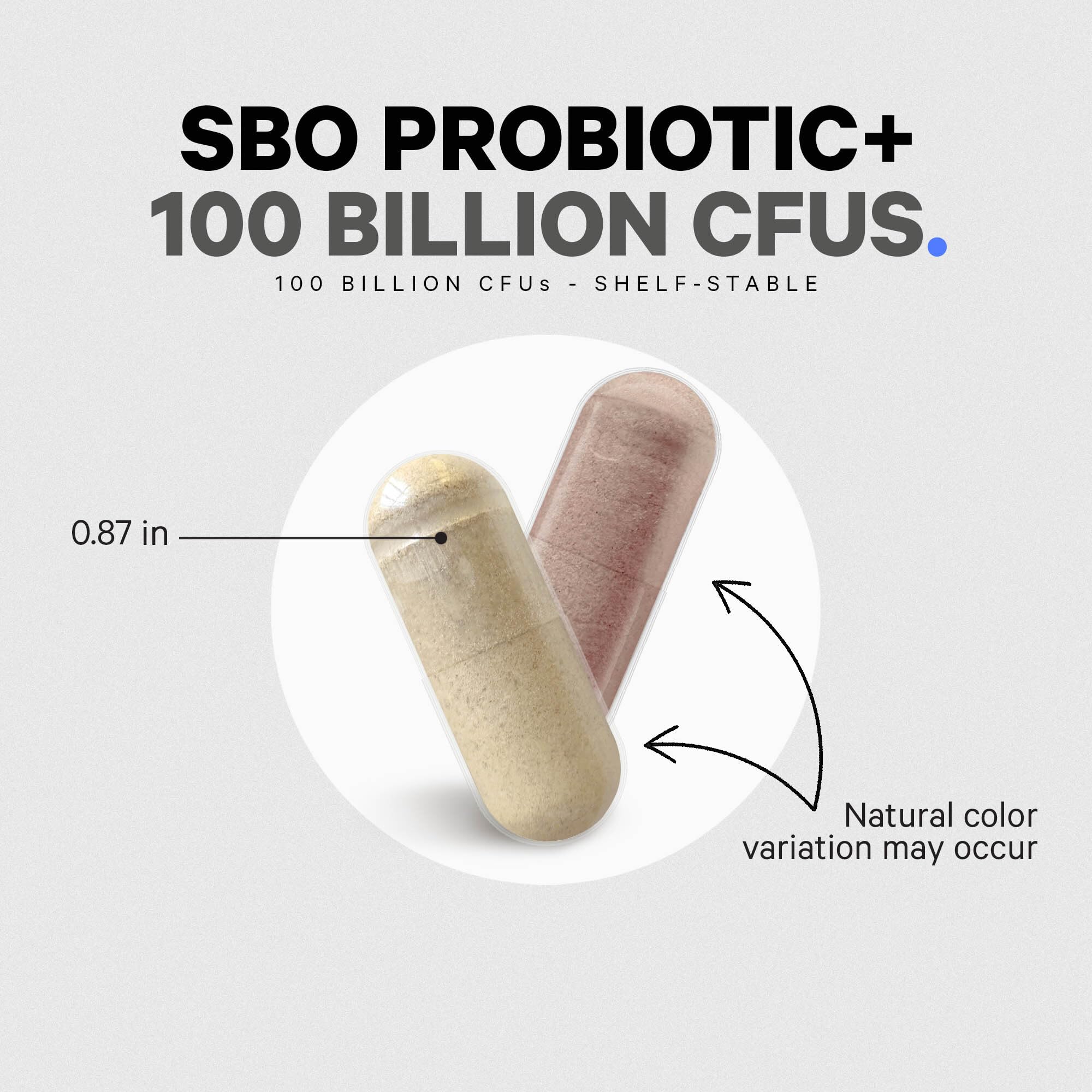 Codeage SBO Probiotics, 100 Billion CFUs Per Serving, Multi Strain Soil Based Organisms Blend and Organic Fermented Botanical Blend, Shelf-Stable, 90 Capsules Codeage buy supplements canada