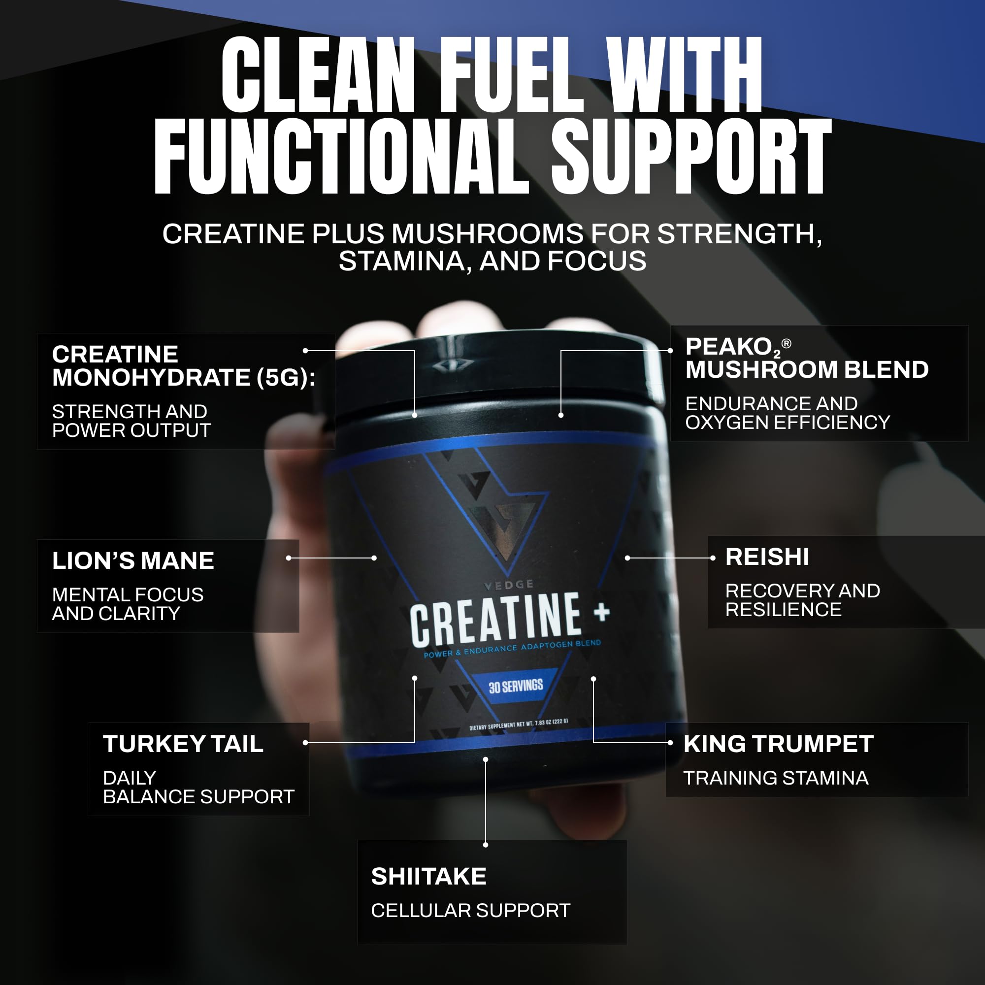 VEDGE Nutrition Creatine + | Vegan Plant-Based Creatine Monohydrate Powder | Energy, Performance & Function | Ergogenic Aids for Athletes | Unflavored, 30 Servings VEDGE buy supplements canada