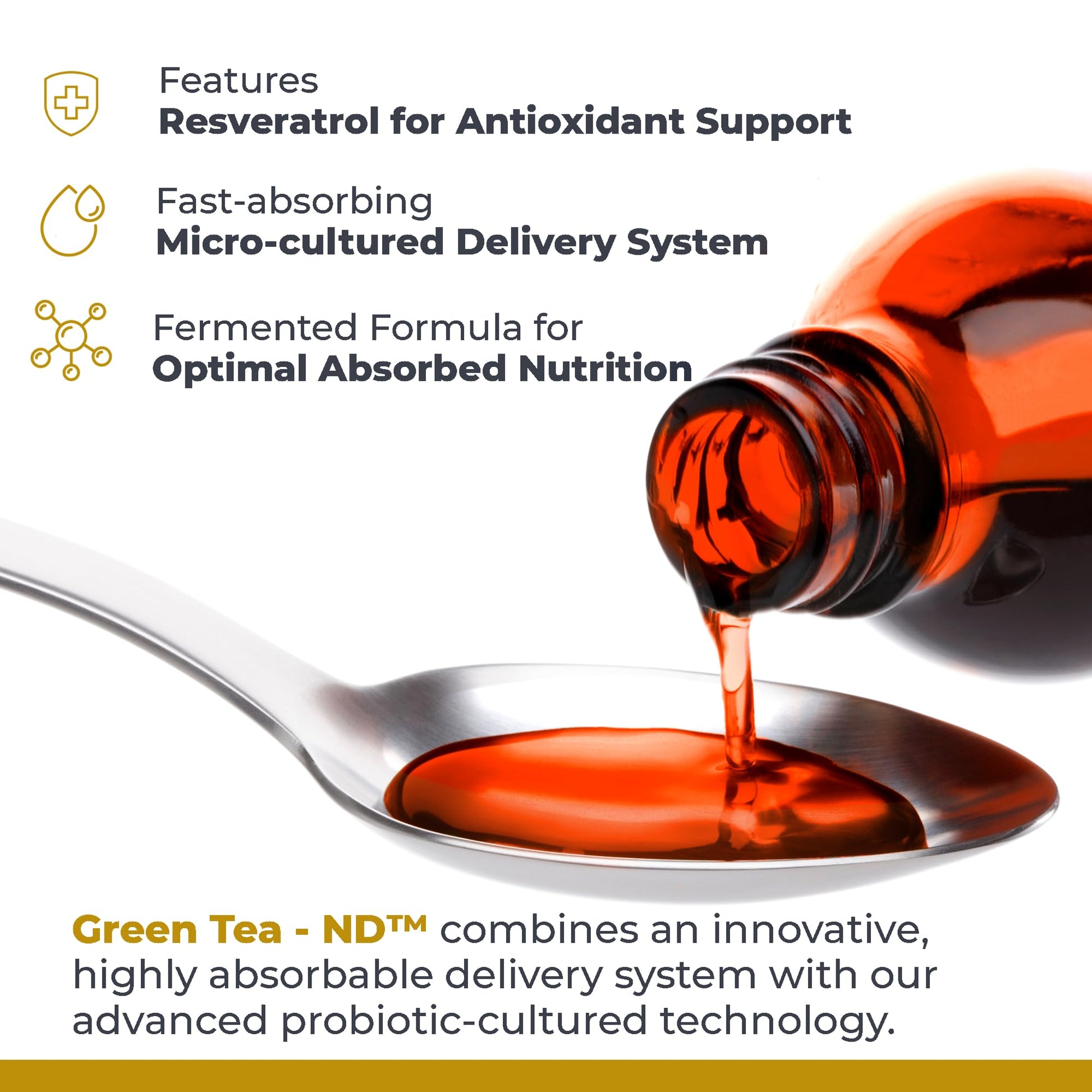 Premier Research Labs Green Tea-ND - Probiotic Fermented Green Tea Extract Supplement with ECGC, Camellia Sinensis Liquid, Supplement Drops for Adults, Vegan Friendly - 8 Fl Oz Bottle Premier Research Labs buy supplements canada