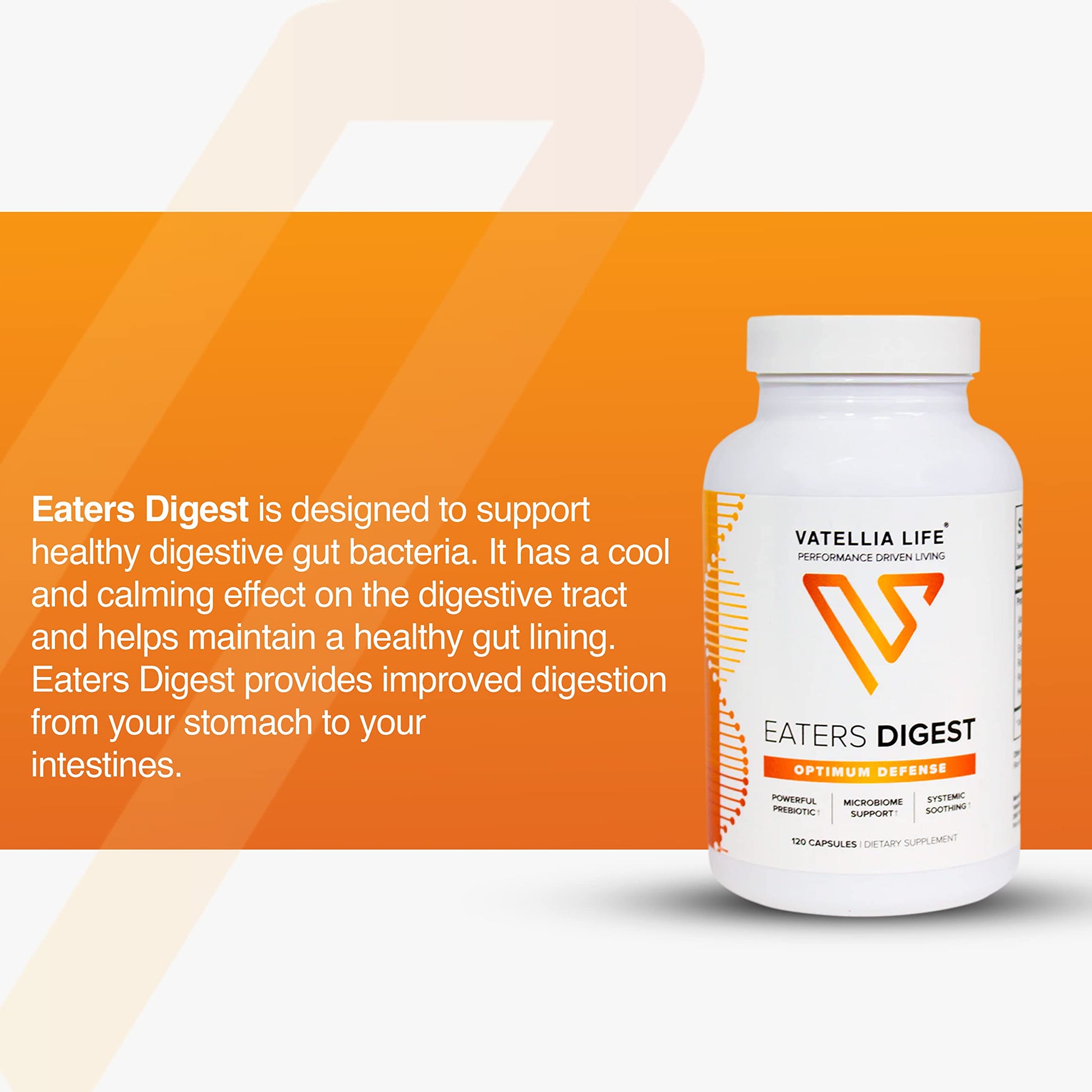 Vatellia Life New from Eaters Digest | Prebiotic | Probiotic | Digestive Support | Gut Soothing | Healthy Gut Lining | Max Nutrient Absorption Vatellia Life buy supplements canada