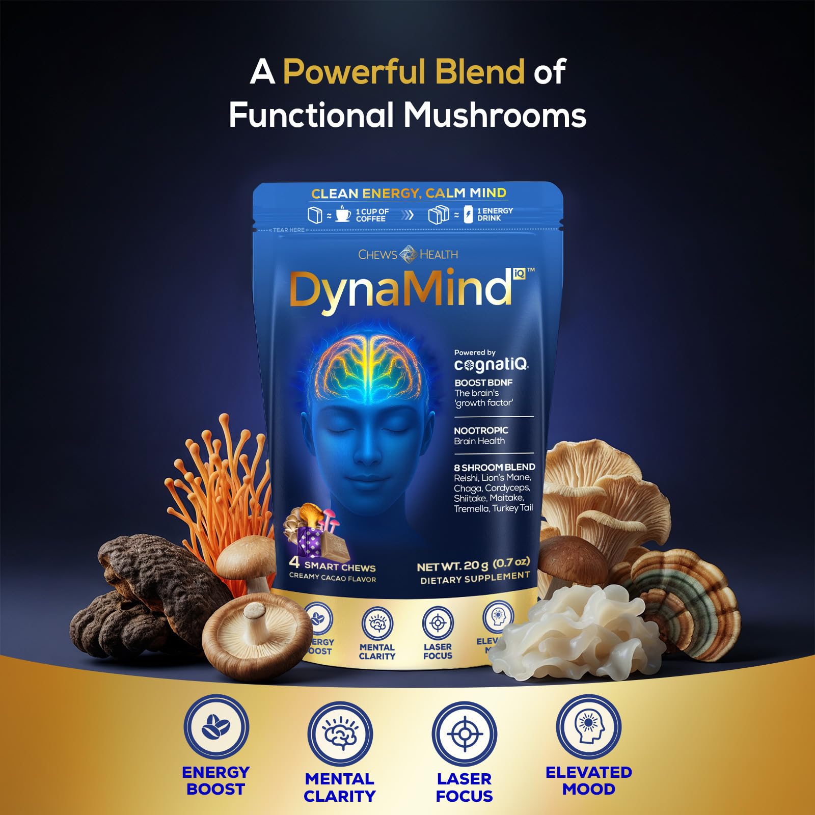 DynaMind iQ Brain Supplement for Memory and Focus for Adults - Nootropic Chews | Coffee Fruit & Mushroom Supplement Blend, Memory Focus Supplement, Caffeine Focus Pills Alternative, 4 Count CHEWSHEALTH buy supplements canada