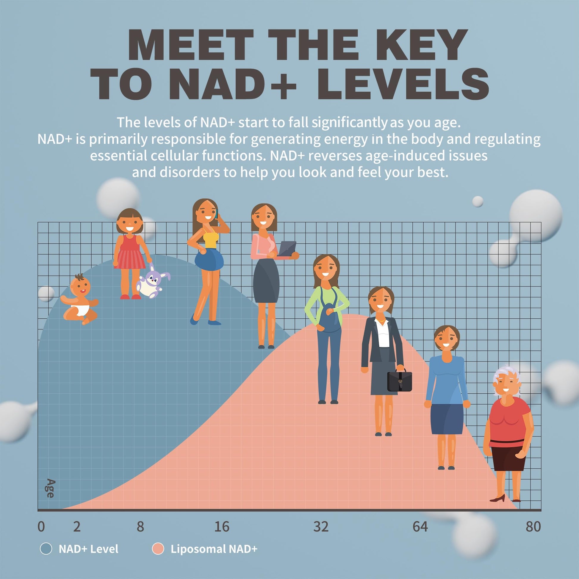 NIUSISE NAD Gummies Sugar Free, NAD+ Supplement with Liposomal Nicotinamide Riboside, Resveratrol, Quercetin, NAD Supplement for Anti-Aging, Energy, Cellular Health, Blueberry Flavor, 60 Gummies NIUSISE buy supplements canada