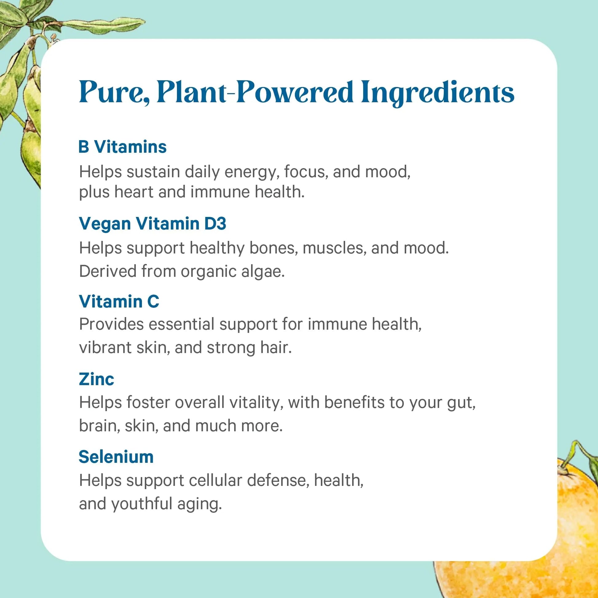 PURE SYNERGY Multi·Vita·Min | Vegan Multivitamin Made with Organic Whole Foods | Twice Daily Supplement for Men and Women PURE SYNERGY buy supplements canada
