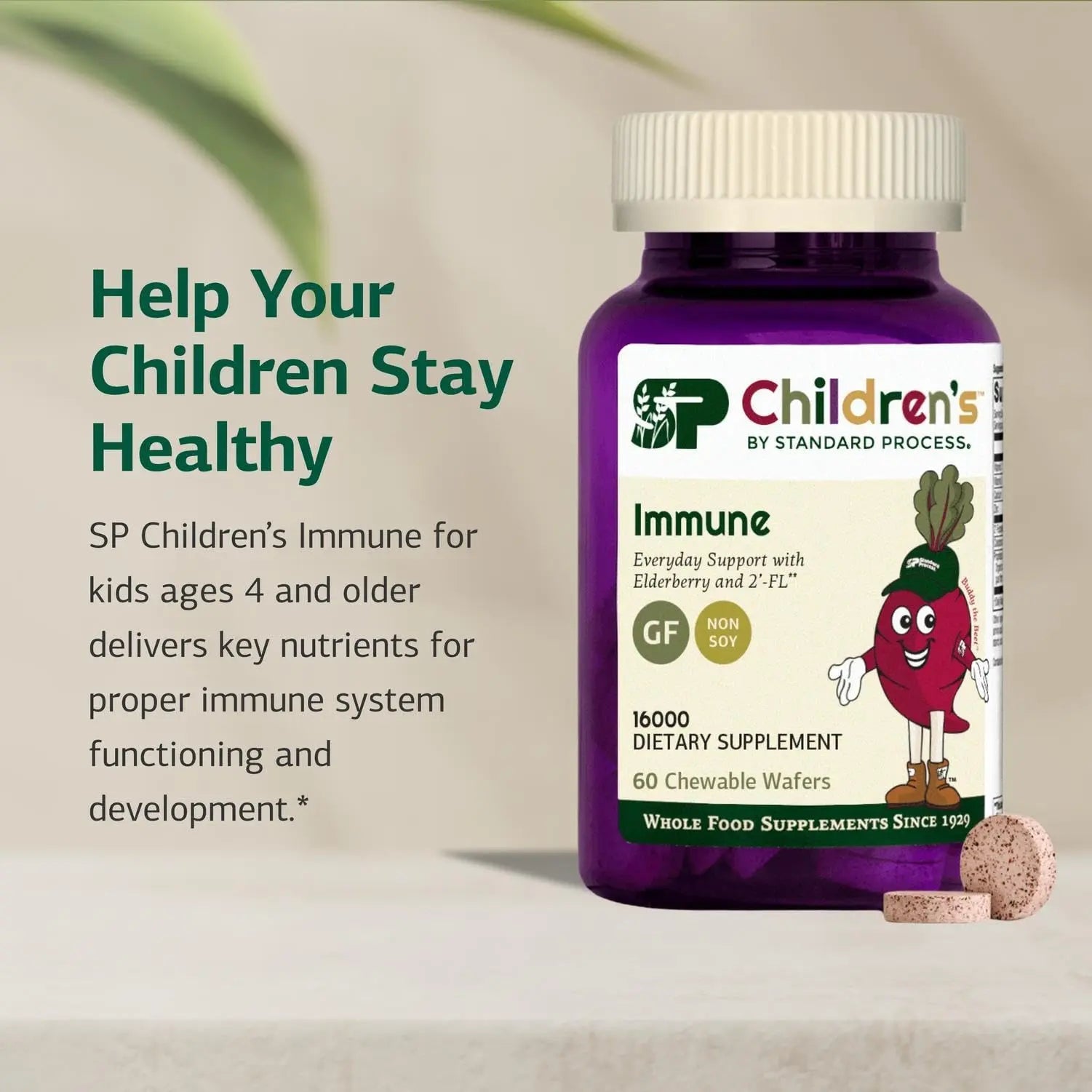 Standard Process Inc. Children's Immune - 60 Wafers Standard Process Inc. buy supplements canada