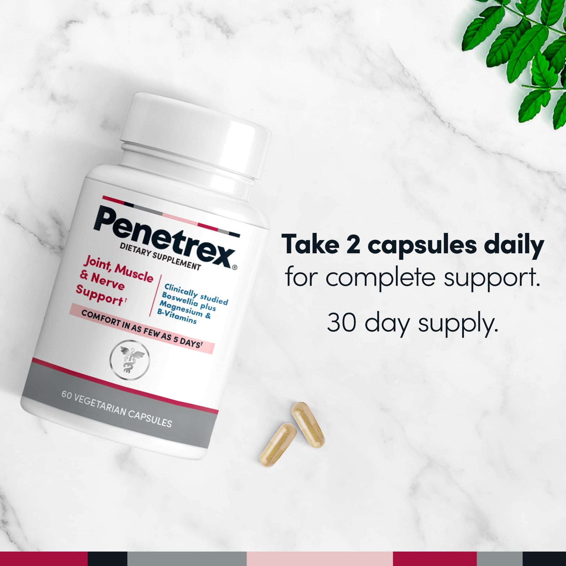 Penetrex Joint, Muscle and Nerve Support Supplement with 3 oz Joint & Muscle Therapy Roll-On Gel Penetrex buy supplements canada
