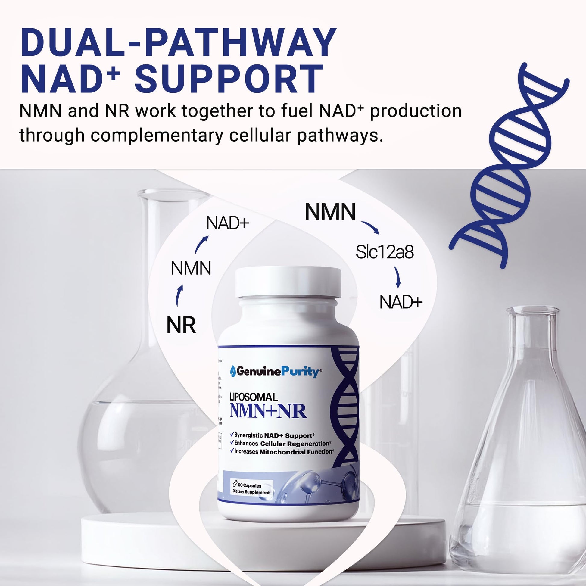 GenuinePurity - Liposomal NMN + NR Supplement - 60 Vegan Capsules to Support Cellular Health, Energy & NAD+ Levels - USA Made, Non-GMO, Gluten Free GenuinePurity buy supplements canada