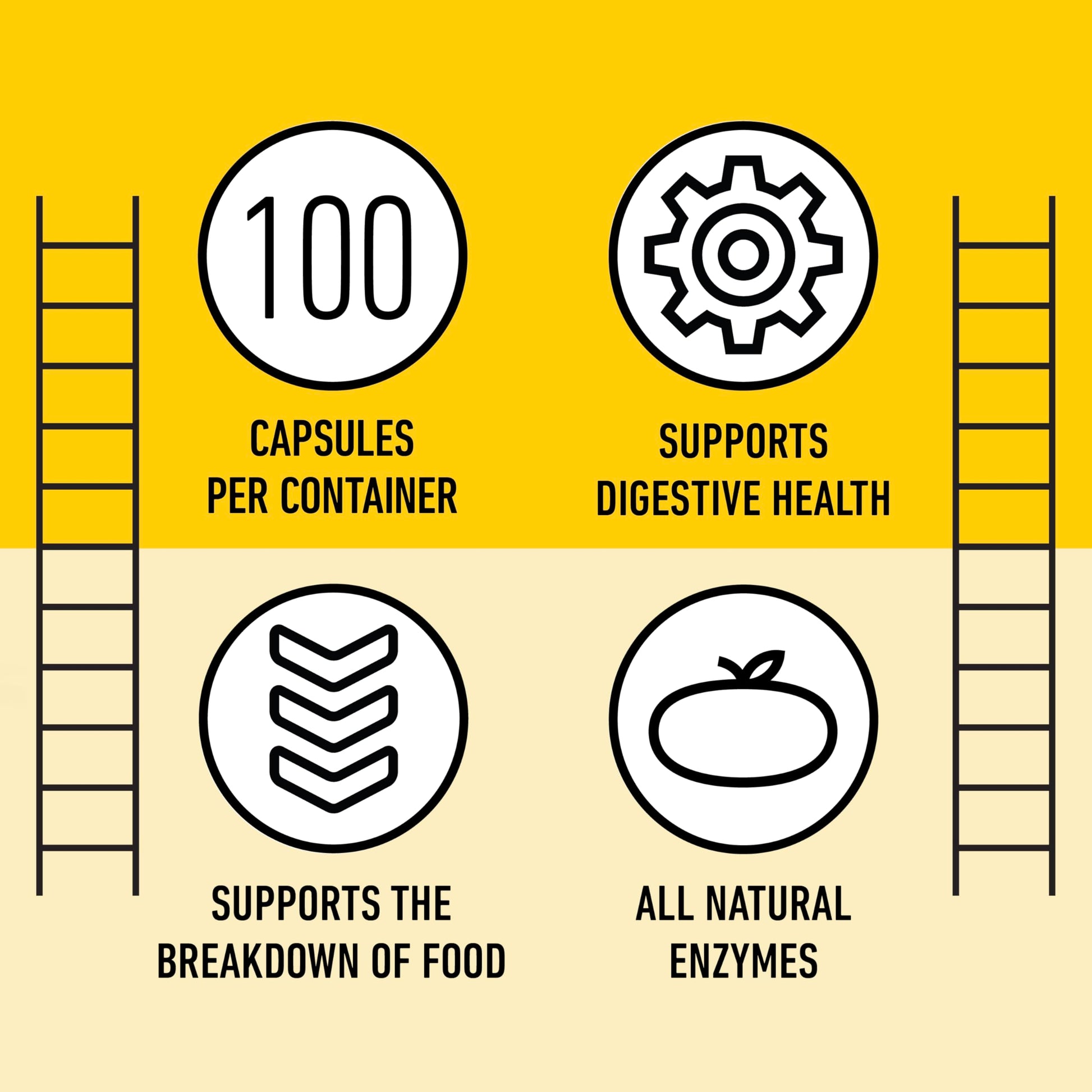 Complete Natural Products Digestive Enzyme Capsules, 550mg, 100ct | Plant-Based Formula Complete Natural Products buy supplements canada