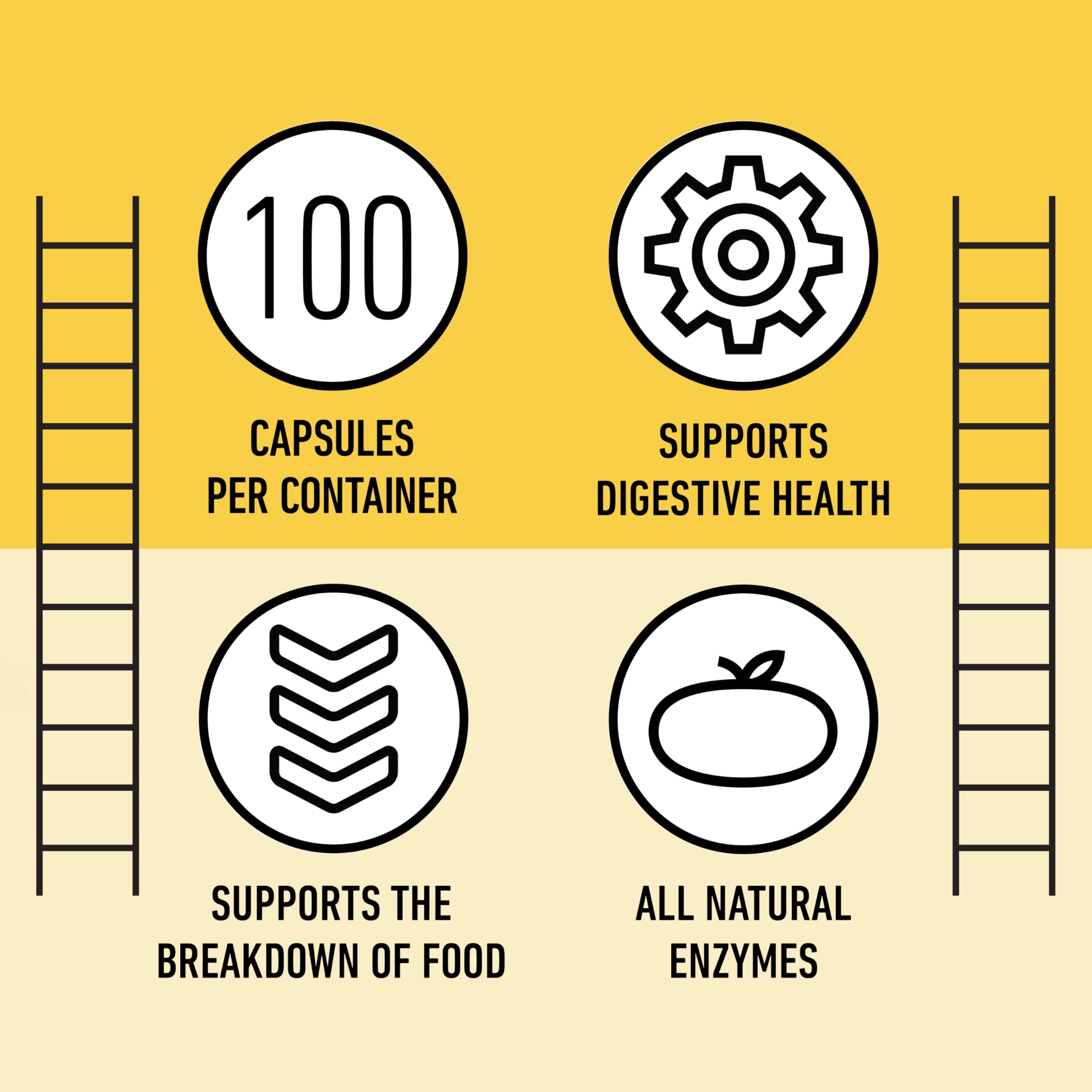 Complete Natural Products Digestive Enzyme Capsules, 550mg, 100ct | Plant-Based Formula Complete Natural Products buy supplements canada