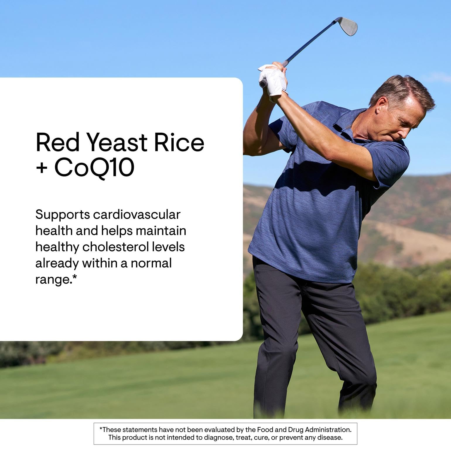 THORNE - Red Yeast Rice + CoQ10 - Maintain Healthy Cholesterol Levels & Supports Cardiovascular Health - Added Antioxidant Support* - Gluten-Free, Dairy-Free - 120 Servings THORNE buy supplements canada