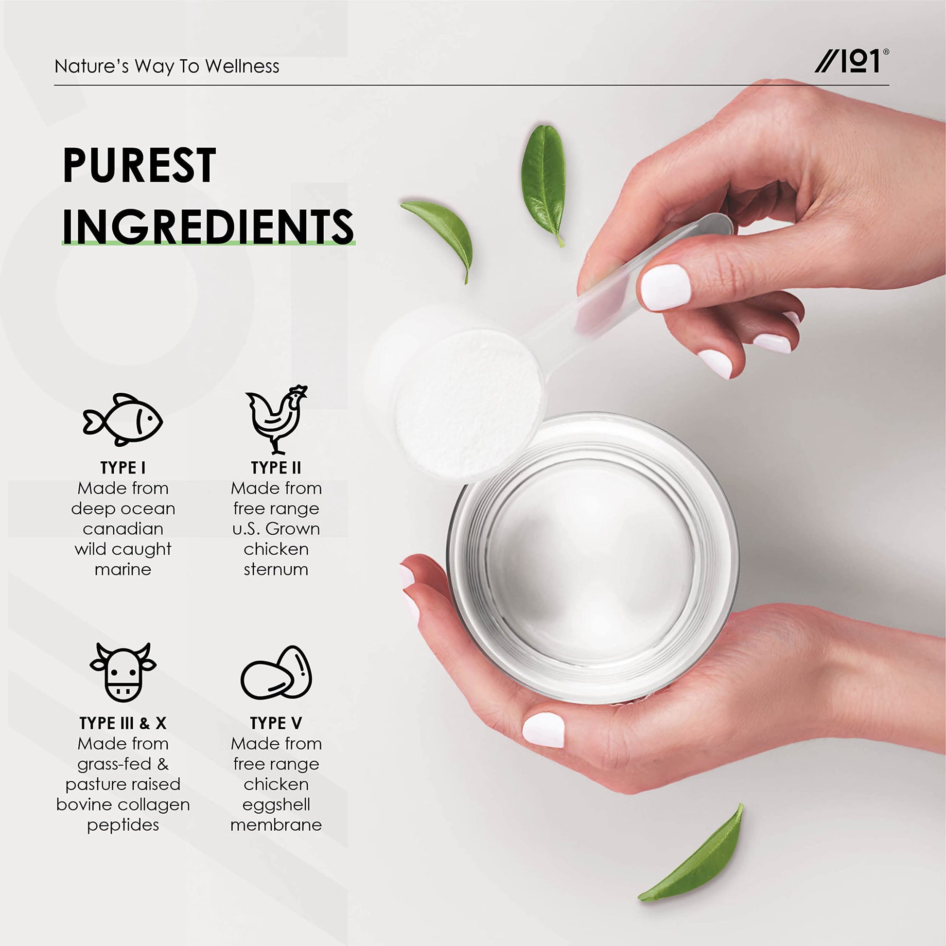 Multi Collagen Protein Powder (400g) - Types I, II, III, V & X - Hydrolyzed Grass Fed Bovine, Wild Caught Fish ALPHA01 buy supplements canada