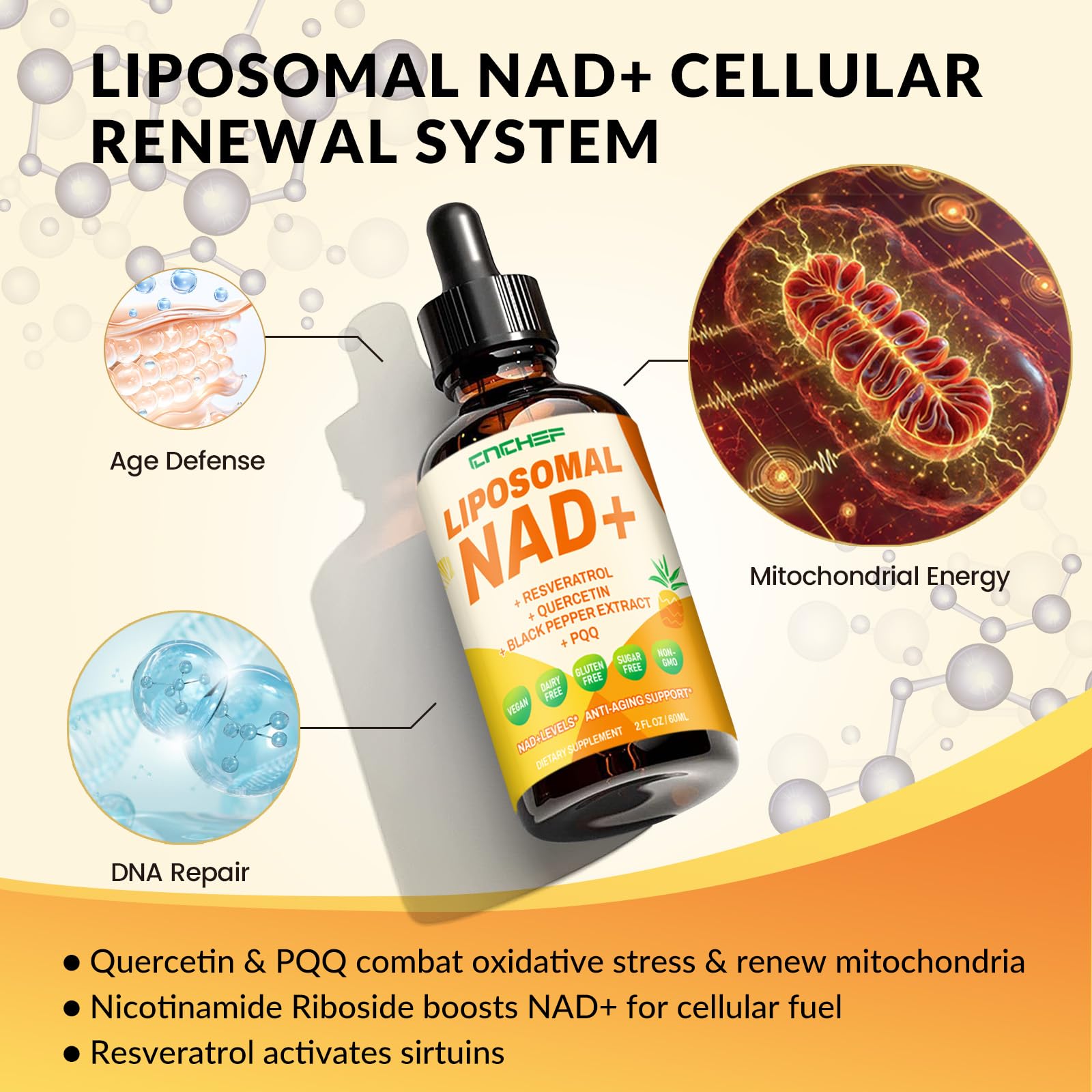 CNCHEF Liposomal NAD Supplement - 1500mg NAD+ Liquid Drop for Women & Men Nicotinamide Riboside Chloride & Resveratrol Complex - Cellular Renewal, Anti-Aging Support - 30 Servings (2 fl oz) CNCHEF buy supplements canada