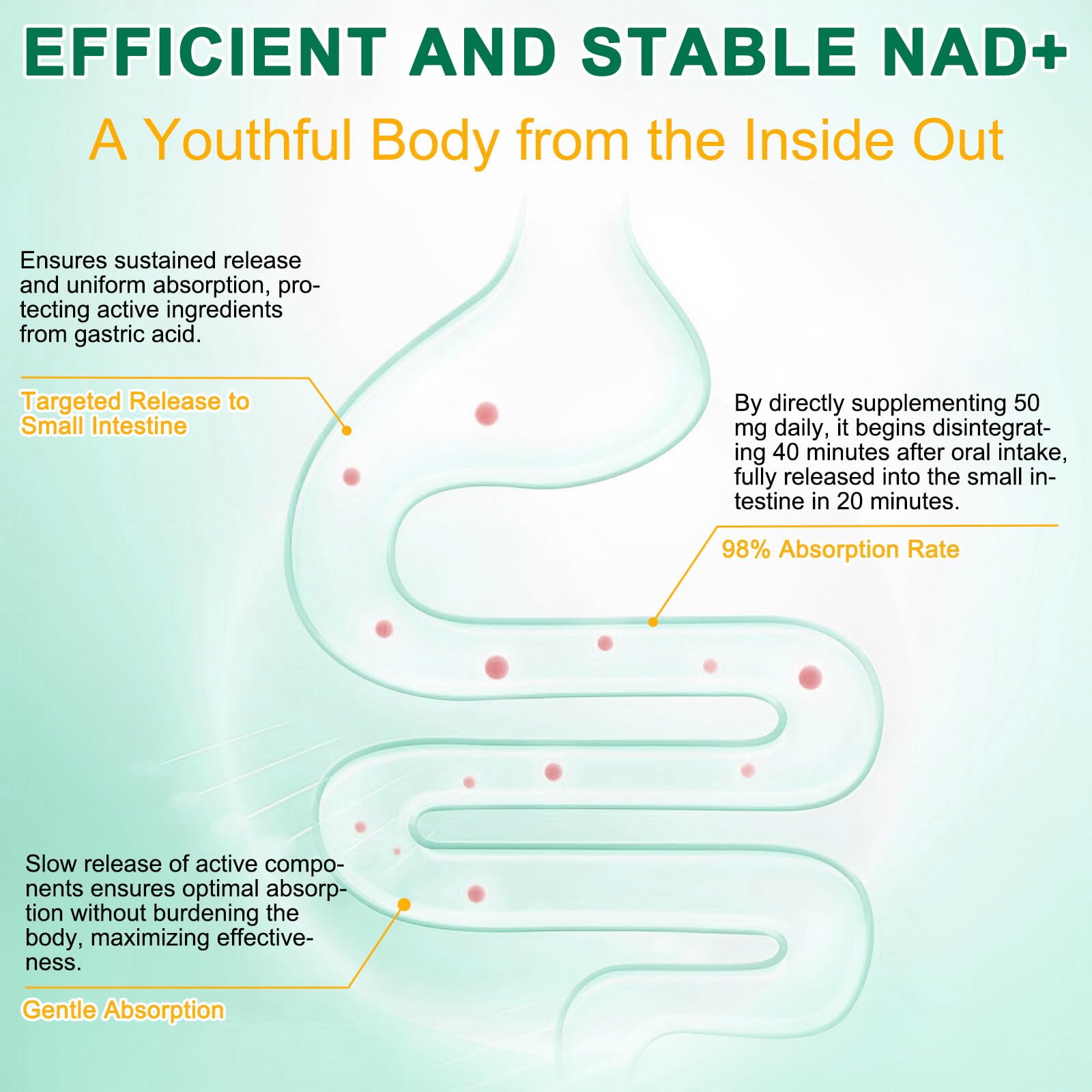 NAD Supplement 120 Capsules, Liposomal Nicotinamide Riboside, Resveratrol, Quercetin, NAD Nicotinamide Riboside Resveratrol 910mg for Women & Men, NAD Supplement for Anti Aging and Cell Regeneration RHBESTOK buy supplements canada