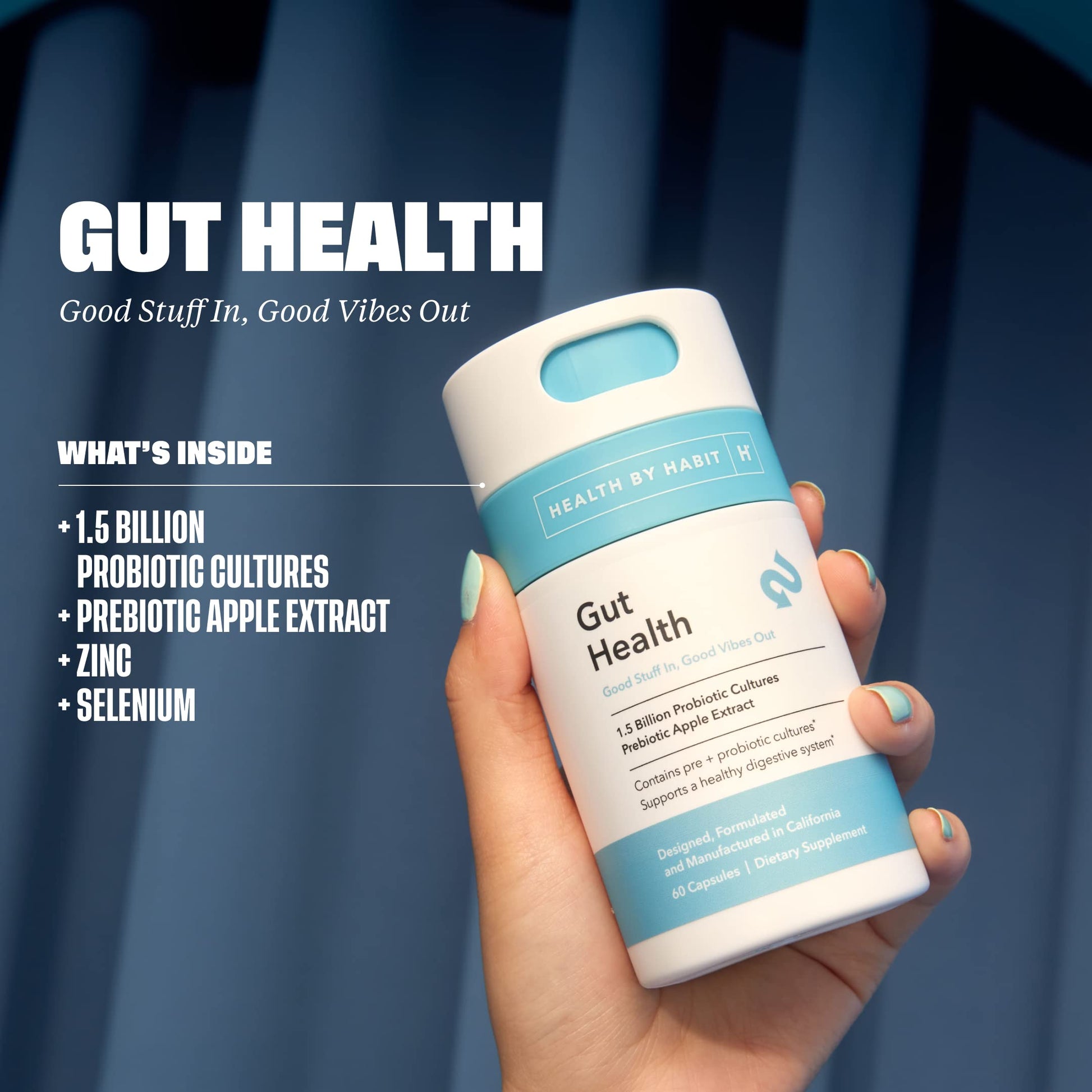 Health By Habit Gut Health Supplement (60 Capsules) - Contains 1.5 Billion probiotic Health By Habit buy supplements canada