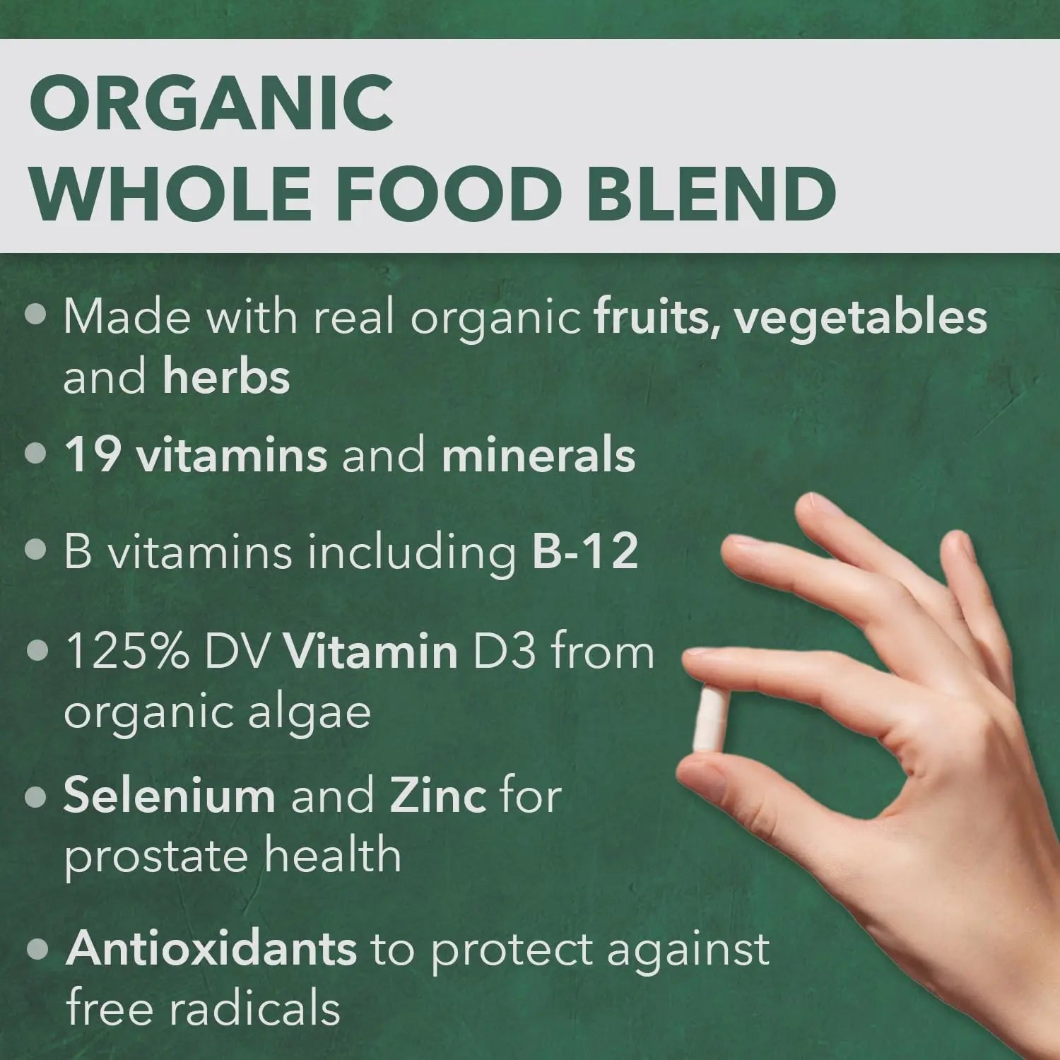 PlantFusion Organic Multivitamin for Men - One Daily Whole Food Blend Men's Multivitamin - Vegan, Non-GMO PlantFusion buy supplements canada