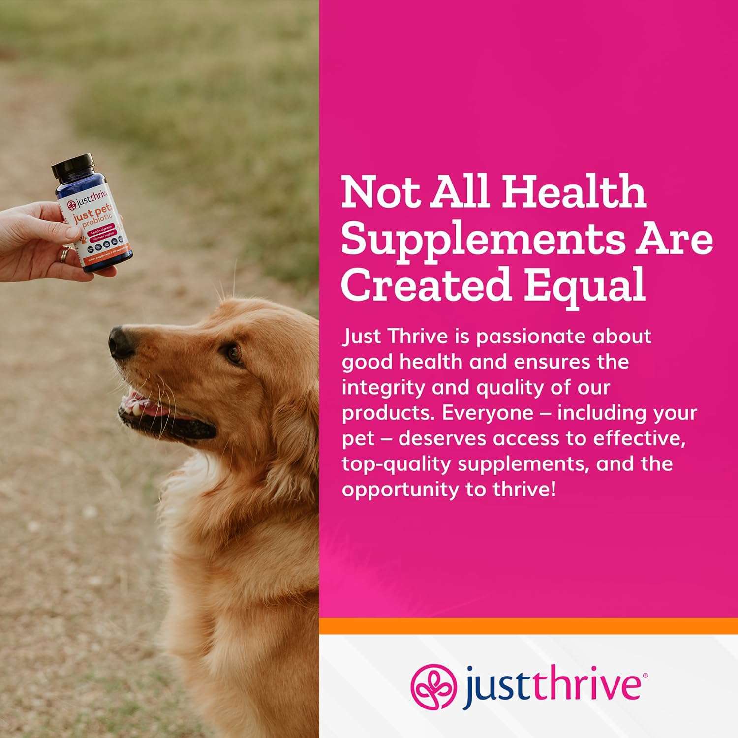 Just Thrive Just Pets Probiotic - Daily Digestive Probiotics for Dogs and Cats - 4 Billion CFUs Pet Probiotic, 30 Capsules Just Thrive buy supplements canada