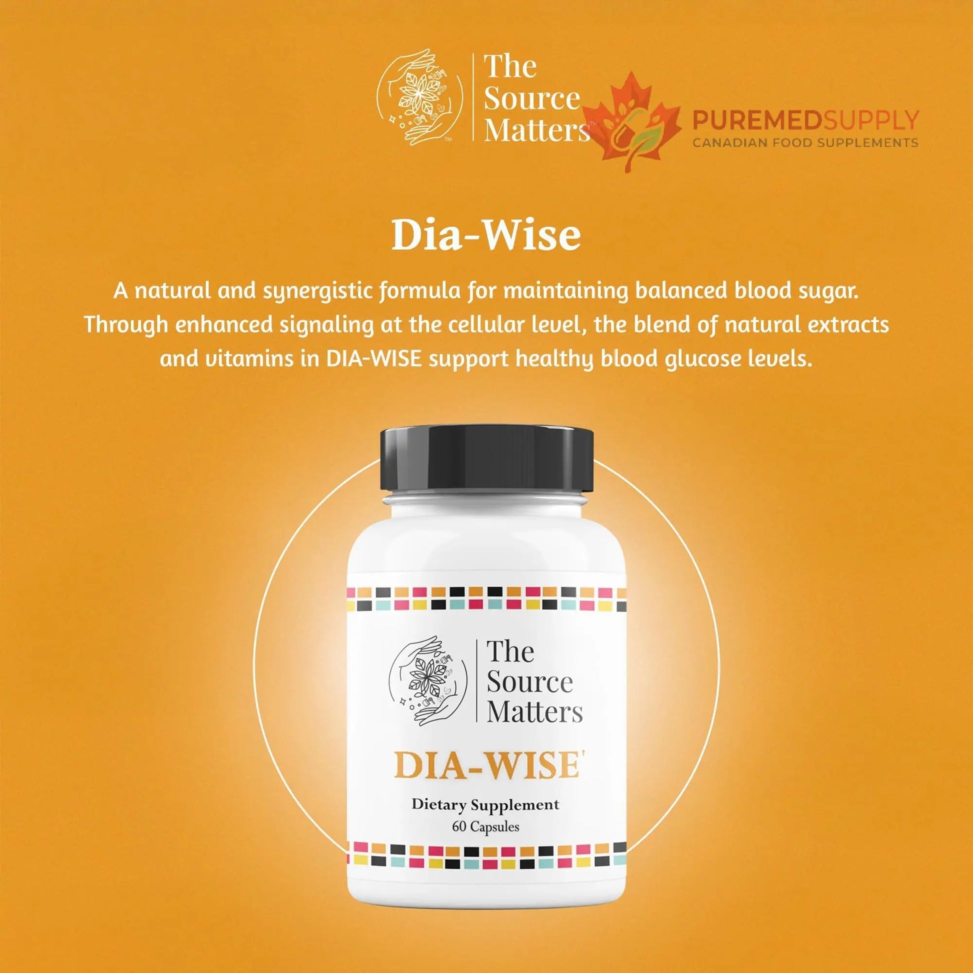 The Source Matters Dia-Wise Metabolic Health Supplement | Alpha Lipoic Acid, Cinnulin Capsules, Biotin, Chromium, Vanadyl Sulfate, Vitamin B for AMPK Activation (60 Count) THE SOURCE MATTERS buy supplements canada