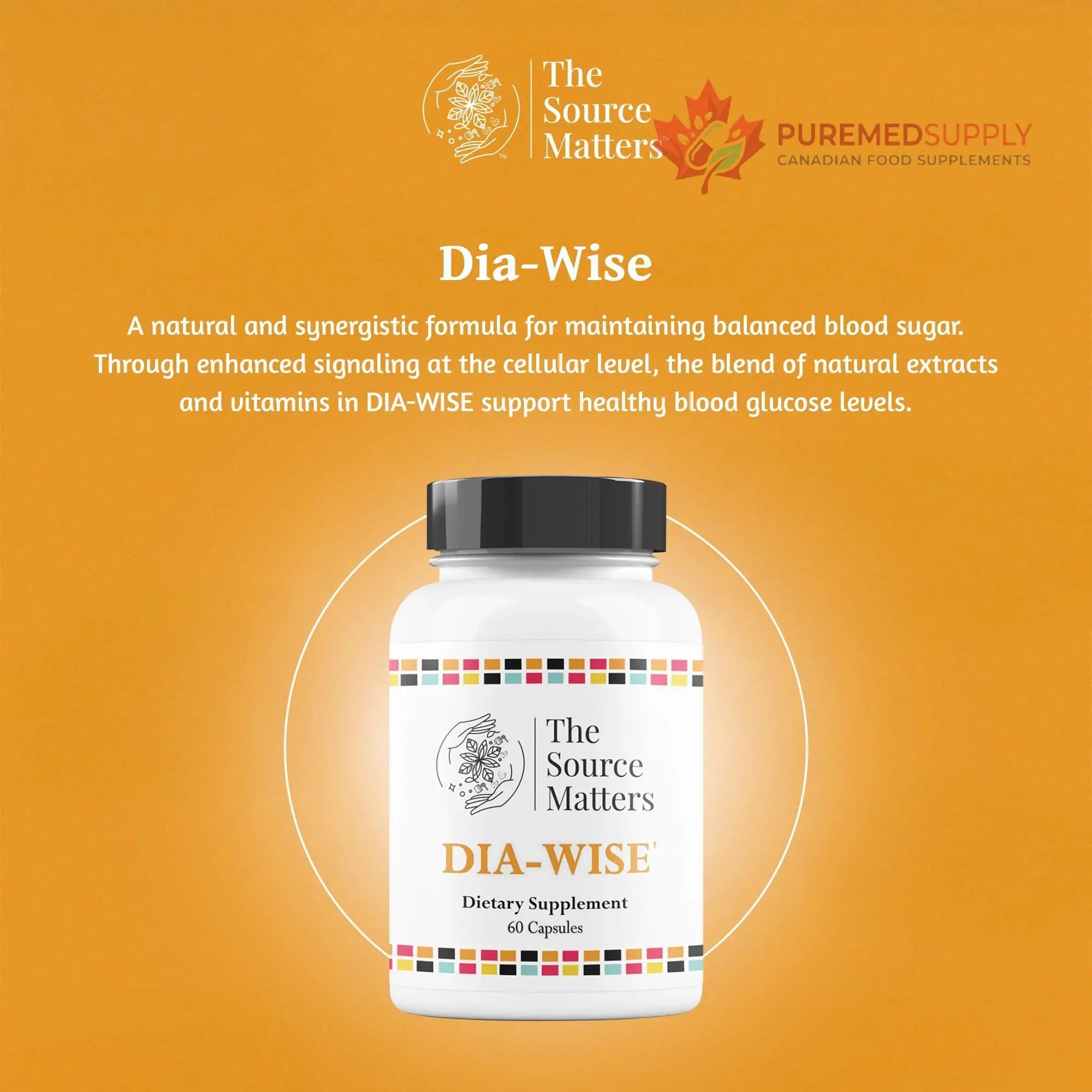 The Source Matters Dia-Wise Metabolic Health Supplement | Alpha Lipoic Acid, Cinnulin Capsules, Biotin, Chromium, Vanadyl Sulfate, Vitamin B for AMPK Activation (60 Count) THE SOURCE MATTERS buy supplements canada