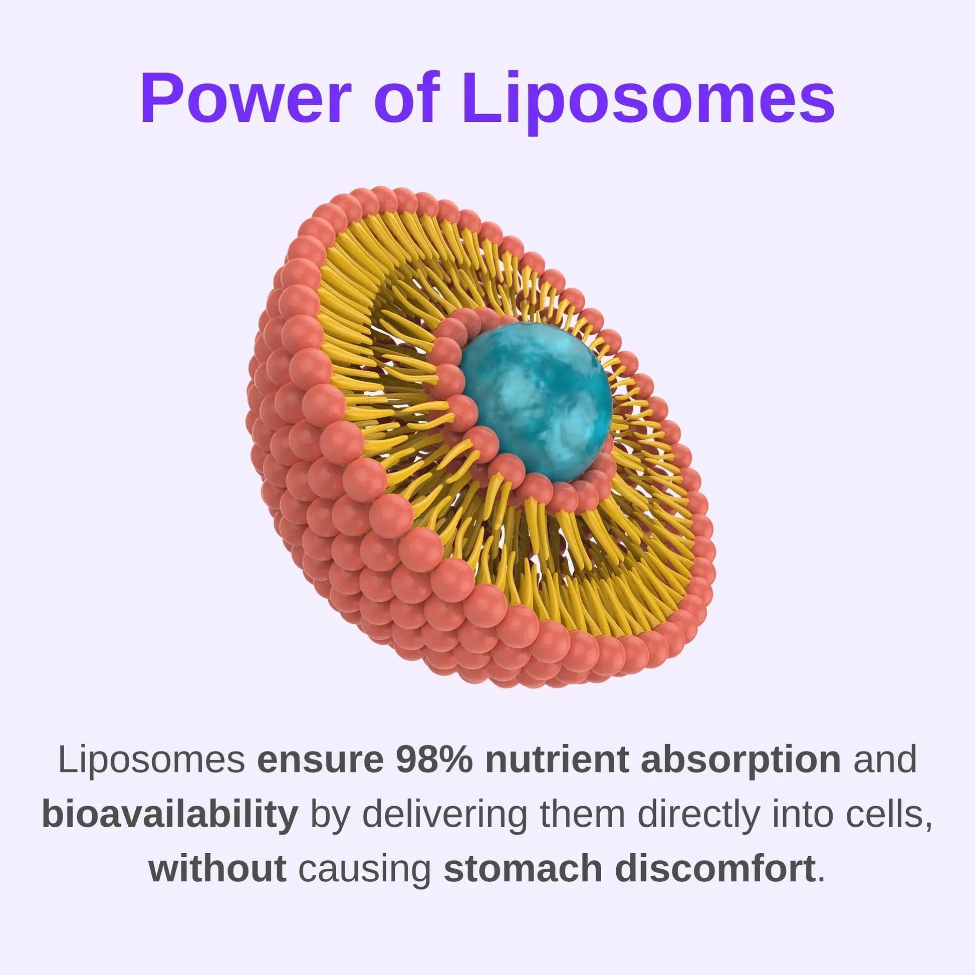 Vitaminally Women's Multivitamin liposomal Liquid Drops with Iron | 30 Day Supply | 3 FL Oz | Non-GMO | Gluten Free | Supports Overall Health, Energy and Beauty Vitaminally buy supplements canada