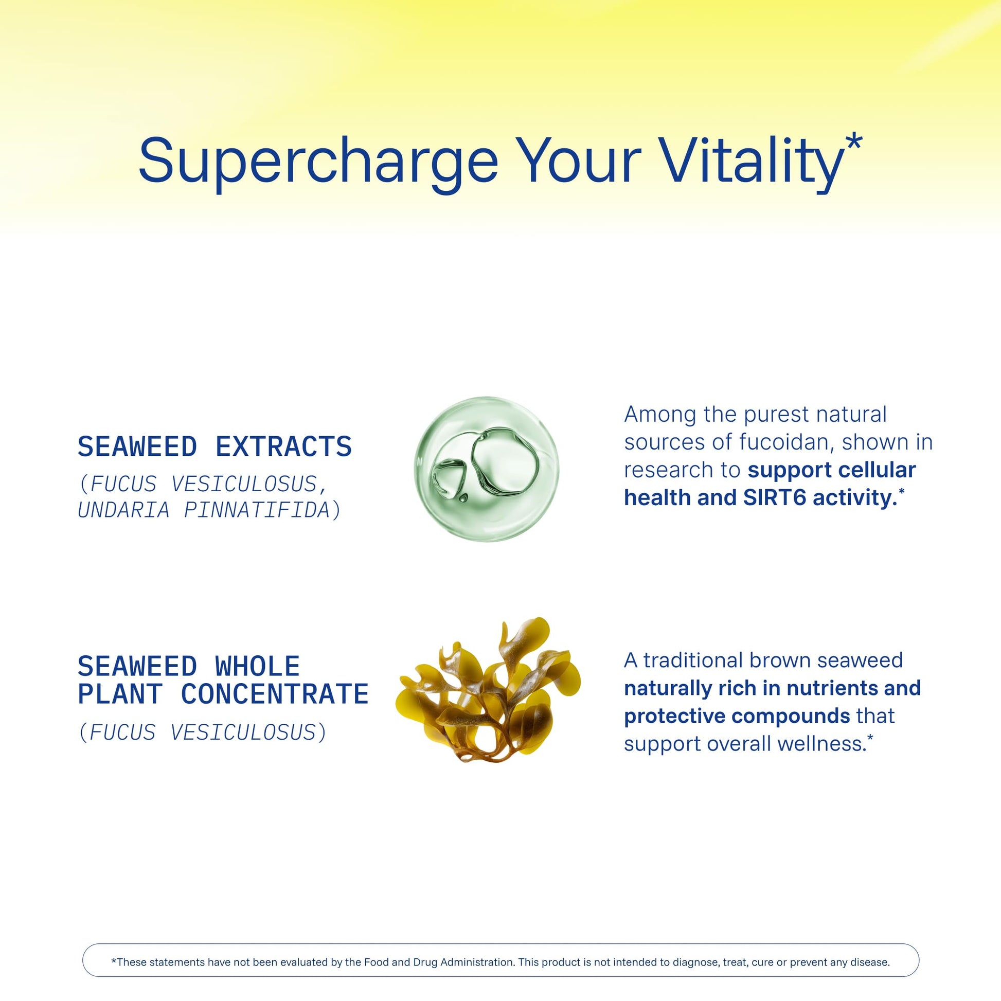 ProHealth Sirtuin 6 Activator | 60 Capsules | Fucoidan-Rich Seaweed Extract to Activate SIRT6 for Longevity, DNA & Cellular Support | Triple Lab-Tested, GMP-Manufactured in USA ProHealth buy supplements canada