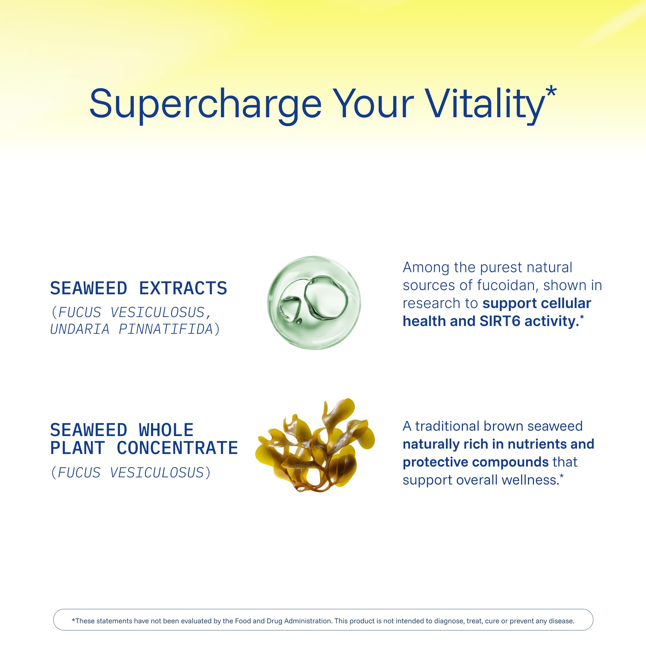 ProHealth Sirtuin 6 Activator | 60 Capsules | Fucoidan-Rich Seaweed Extract to Activate SIRT6 for Longevity, DNA & Cellular Support | Triple Lab-Tested, GMP-Manufactured in USA ProHealth buy supplements canada