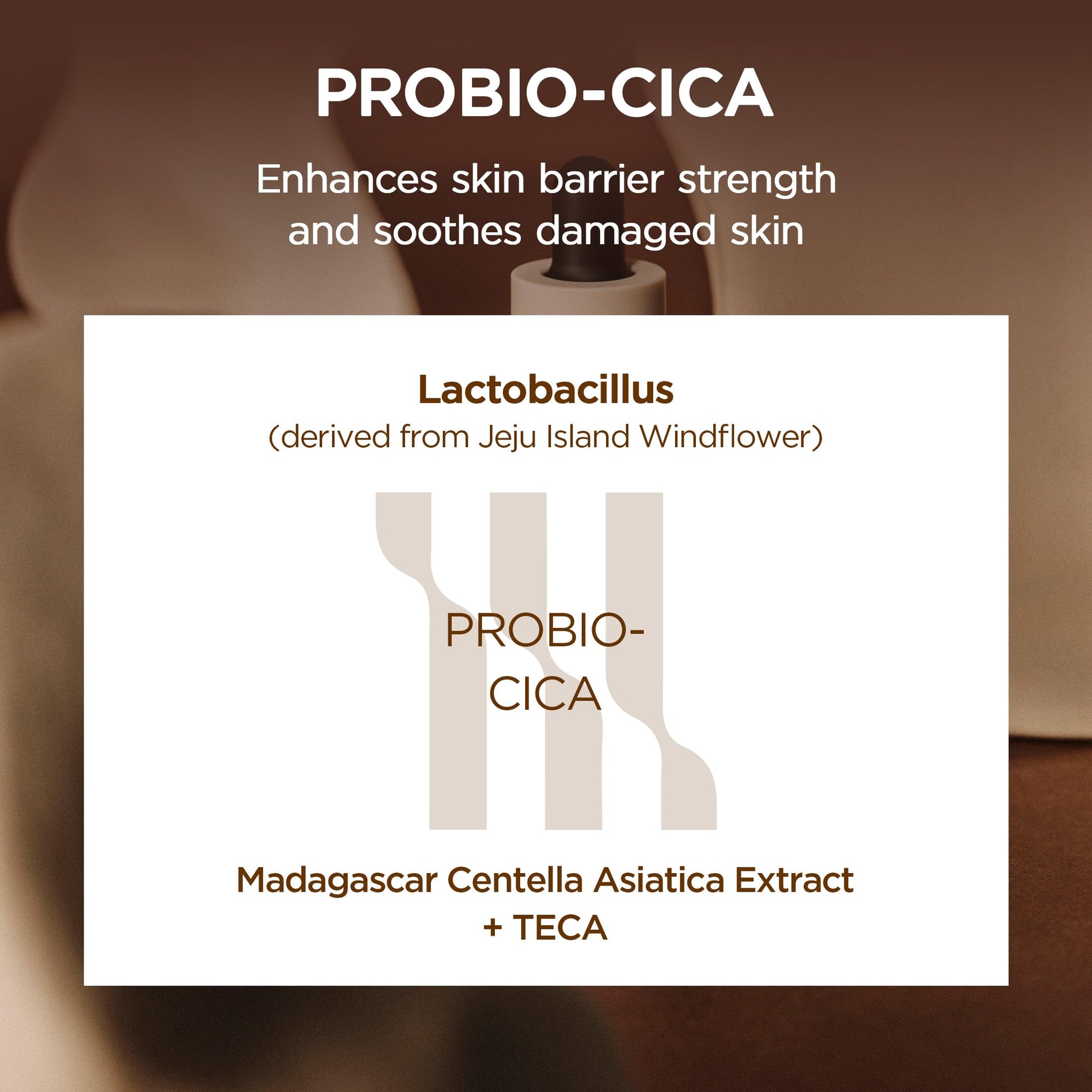 SKIN1004 Probio Cica Intensive Ampoule, Centella Serum for Face with Ceramide, Facial Serum for Nourishing & Soothing, Centella Ampoule SKIN1004 buy supplements canada