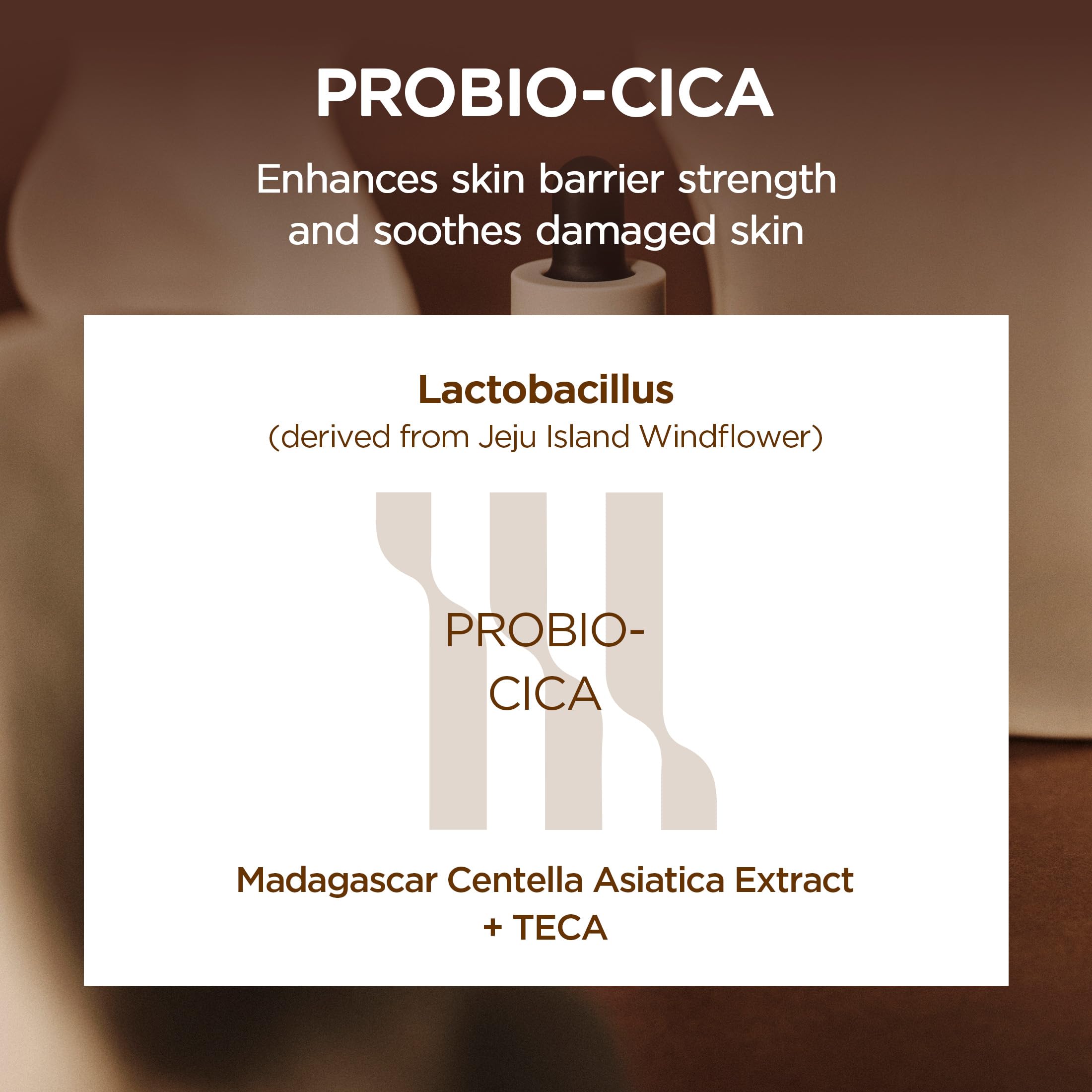 SKIN1004 Probio Cica Intensive Ampoule, Centella Serum for Face with Ceramide, Facial Serum for Nourishing & Soothing, Centella Ampoule SKIN1004 buy supplements canada