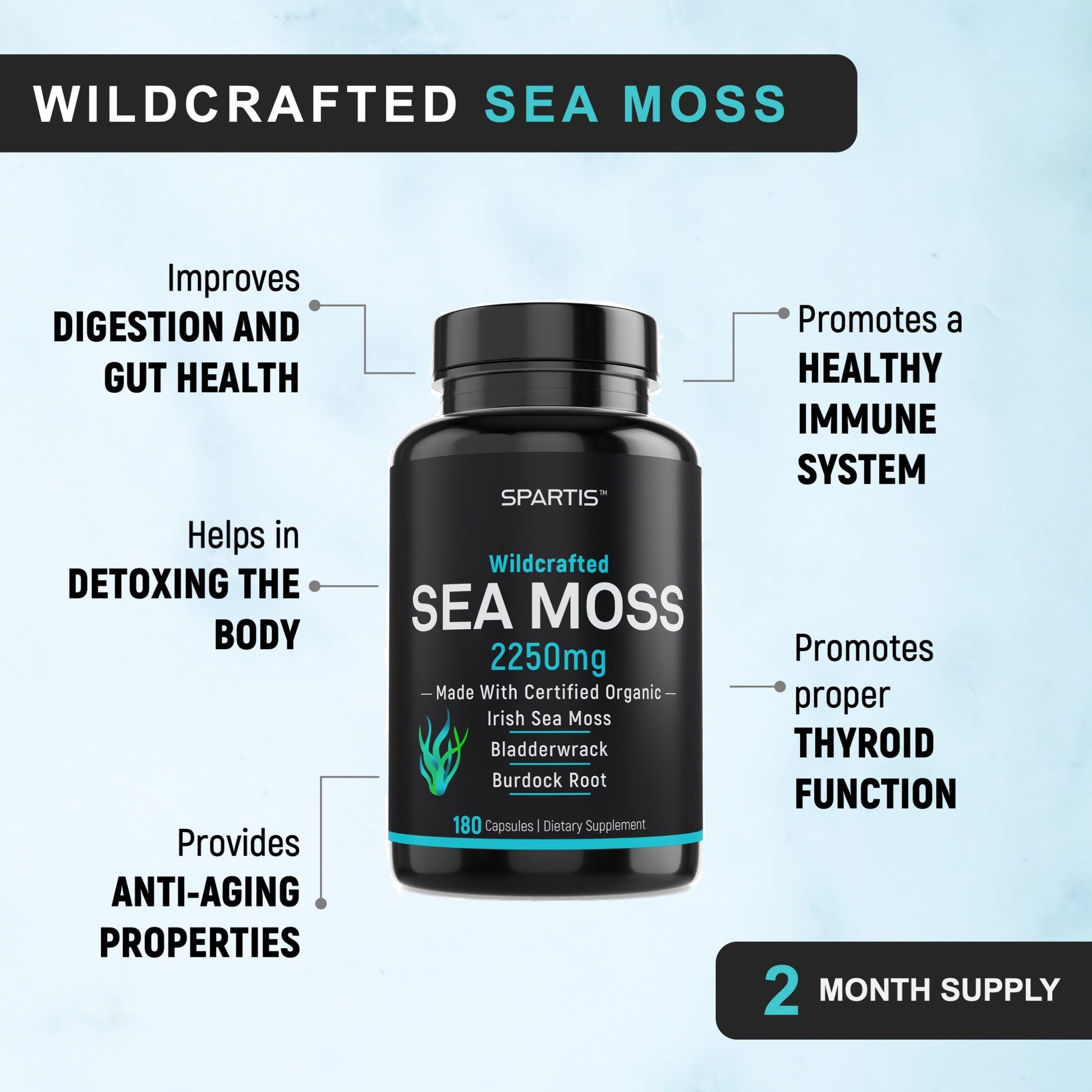 Certified Organic Sea Moss Capsules 2250mg Wildcrafted Irish Sea Moss Burdock Root SPARTIS buy supplements canada