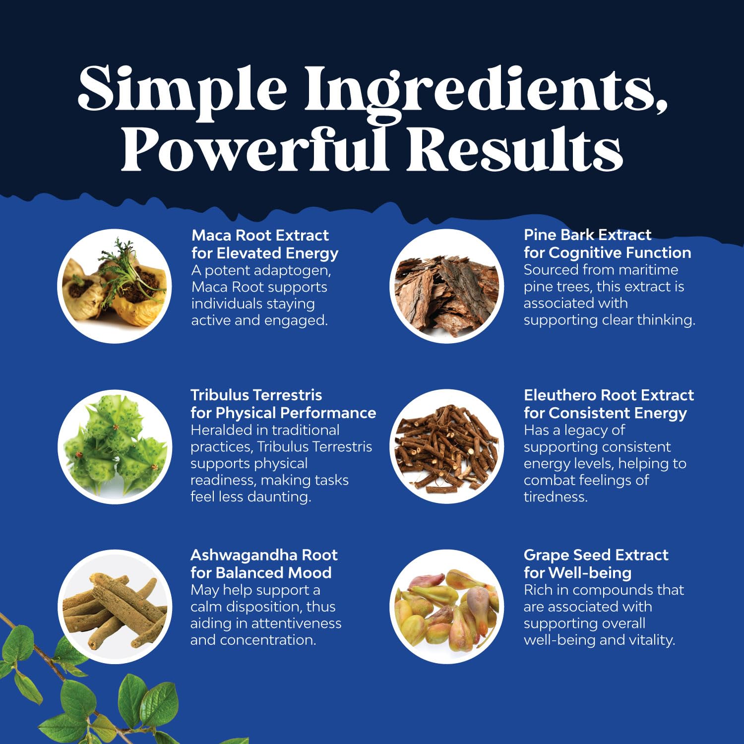 Potent Black Maca Root Capsules for Men - Herbal Wellness Supplement with Siberian Ginseng Ashwagandha and Black Maca Root - Men’s Wellness Supplement to Support General Health - 120 Count Natures Craft buy supplements canada