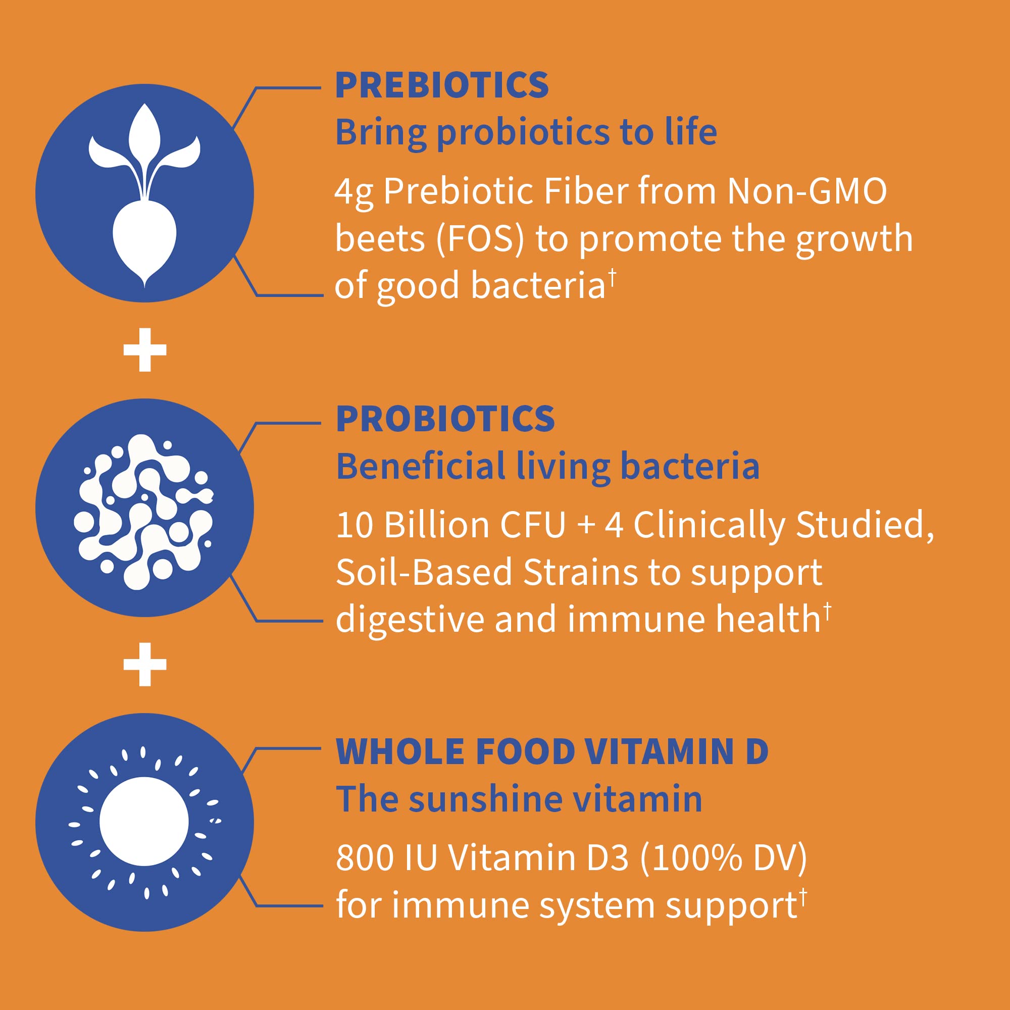 Garden of Life Dr Formulated 10 Billion CFU Prebiotic Fiber & Probiotic Gummies with Vitamin D3 for Digestive and Immune Health – Gluten Free, Non GMO Garden of Life buy supplements canada