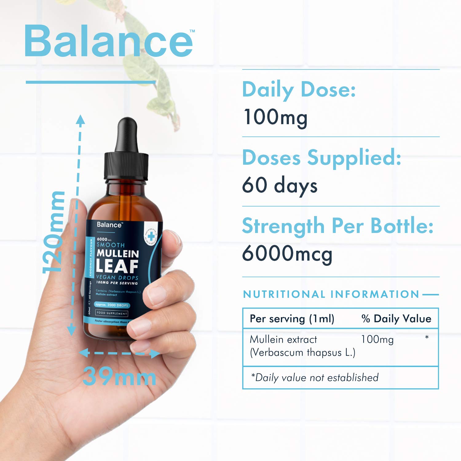 Balance Mullein Leaf Liquid Drops - 60ml for 2 Month Supply - High Strength - Vegan Balance buy supplements canada