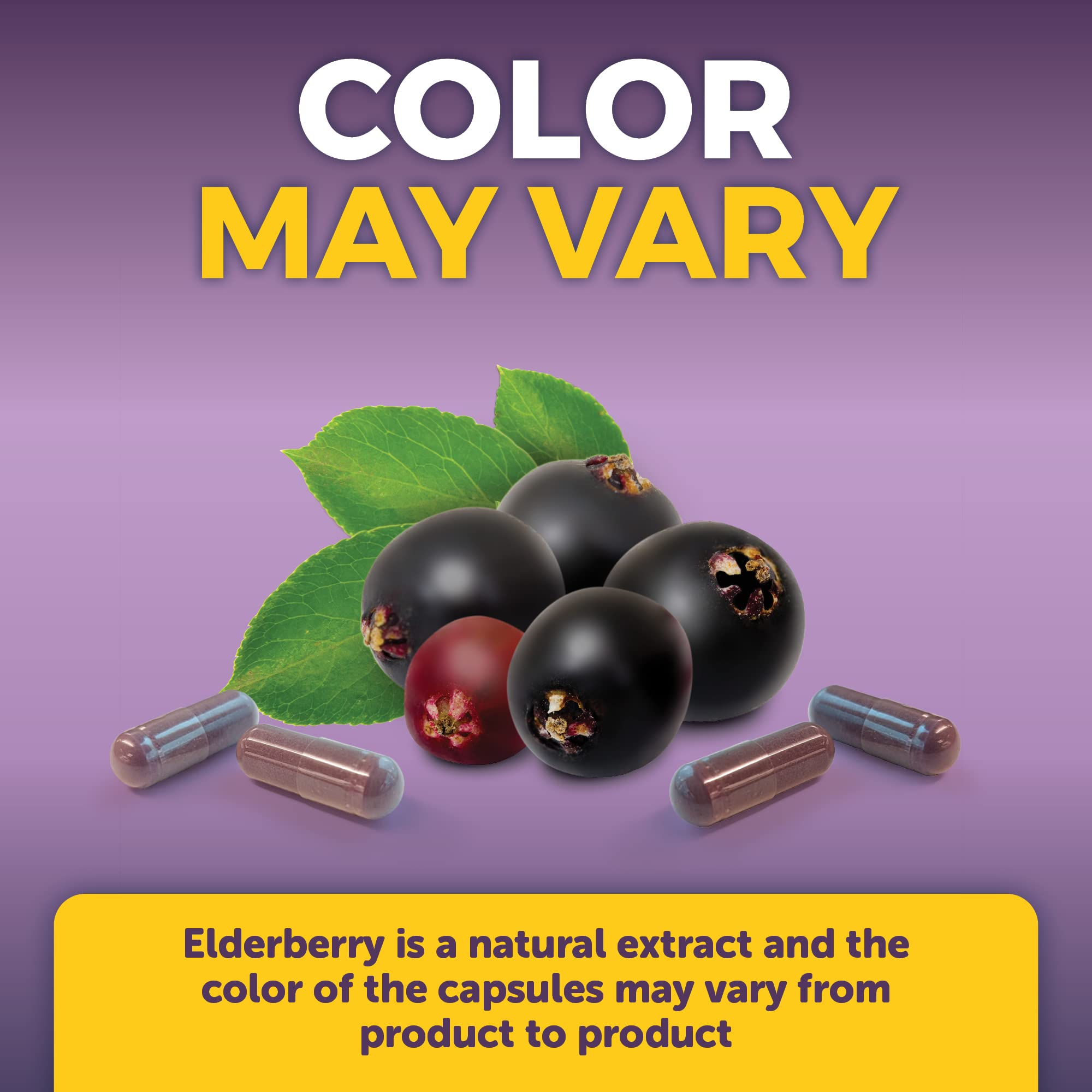 Viva Naturals Elderberry with Vitamin C and Zinc for Adults - 5 in 1 Sambucus Black Elderberry Capsules with Vitamin D3 5000 IU Immunity Supplement Viva Naturals buy supplements canada