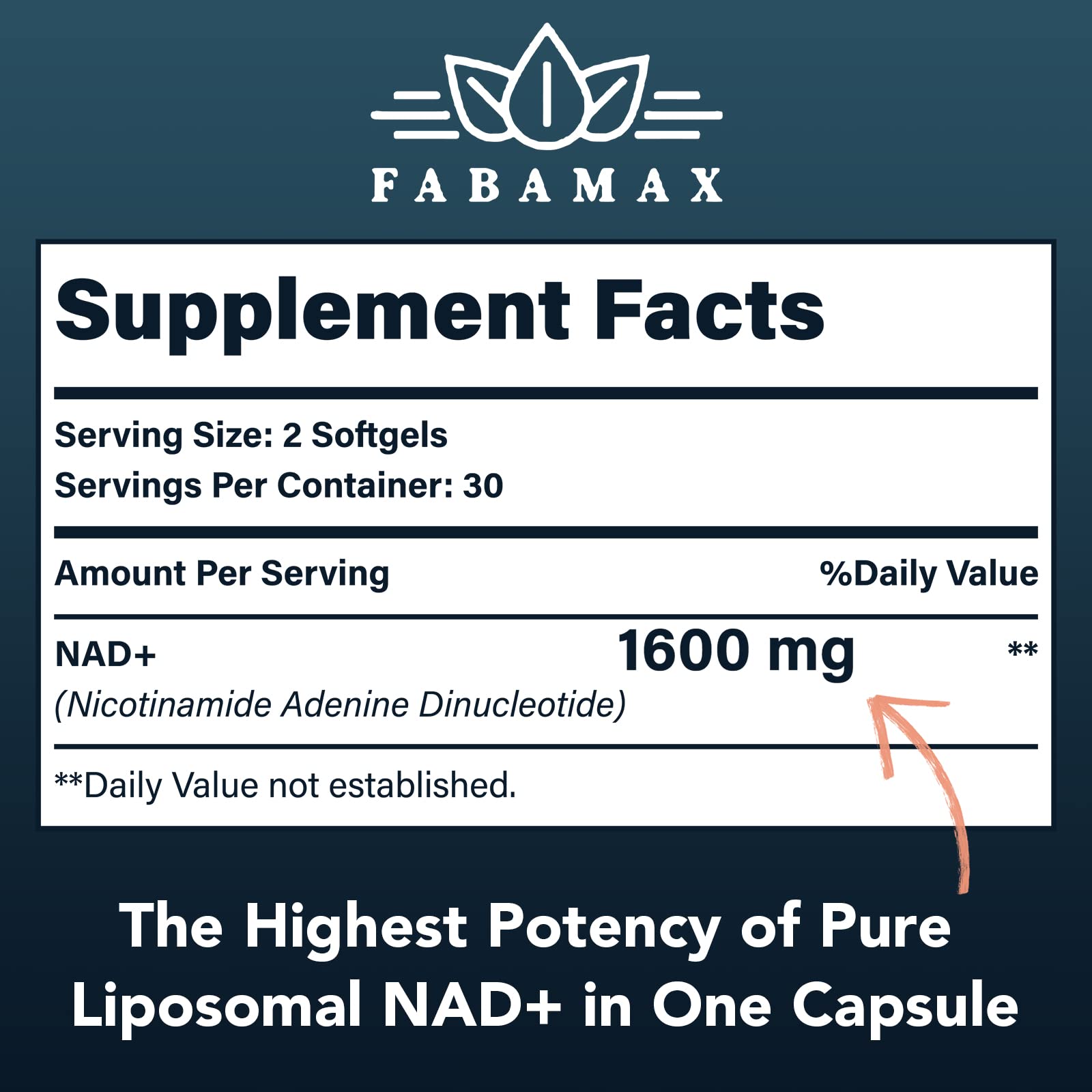 Fabamax 1600 mg Liposomal NAD Supplement, 98% Pure NAD+ Supplement, Superior Absorption, Alternative to Nicotinamide Riboside or NADH to Boost NAD+ for Aging Defense, Energy, Longevity,60 Softgels Fabamax buy supplements canada