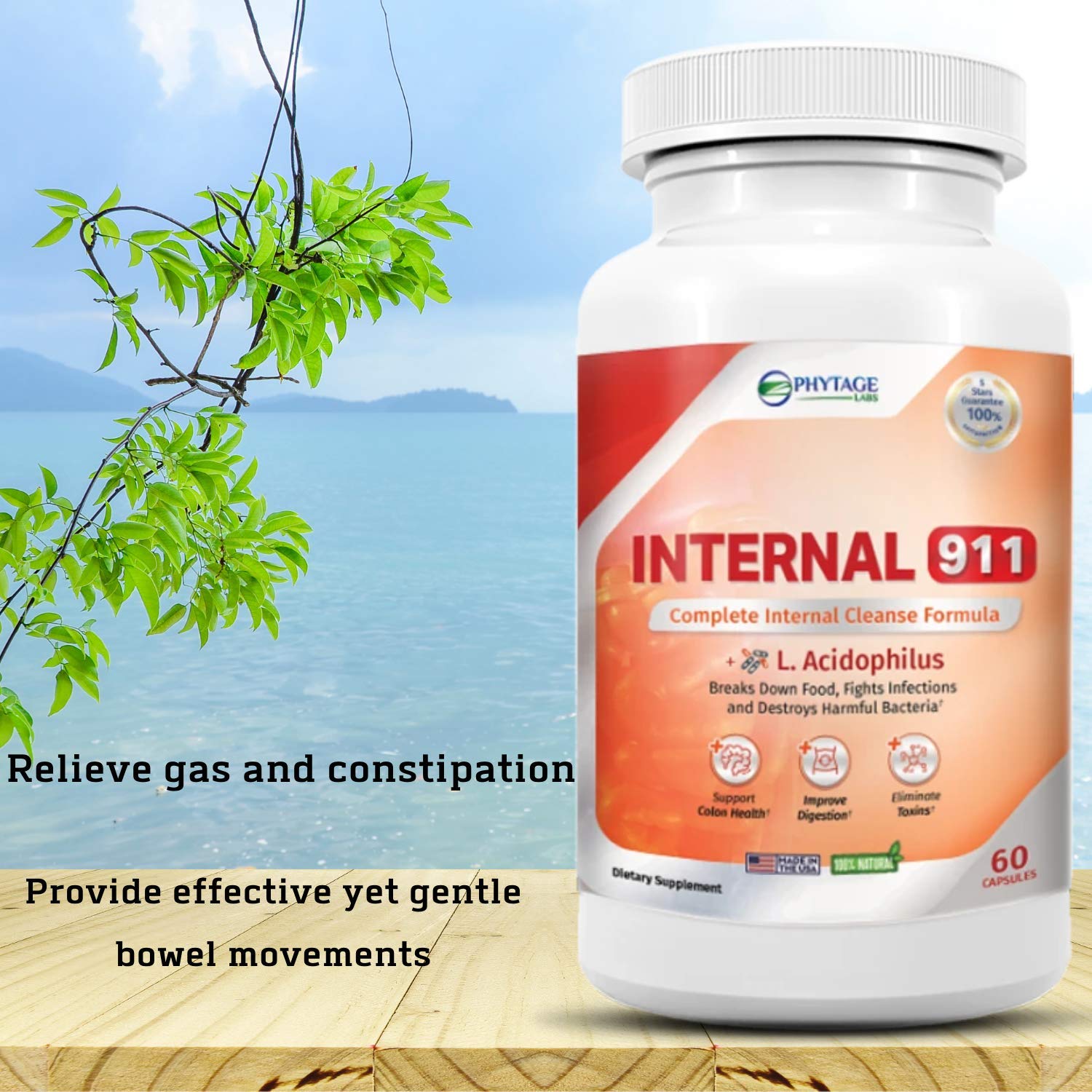 Phytage Labs Internal 911 Colon Cleanse Detox Supplement - Natural Laxative Cleanser Removes Toxins for Better Digestion and Radiant Skin - 60 Capsules Phytage Labs buy supplements canada