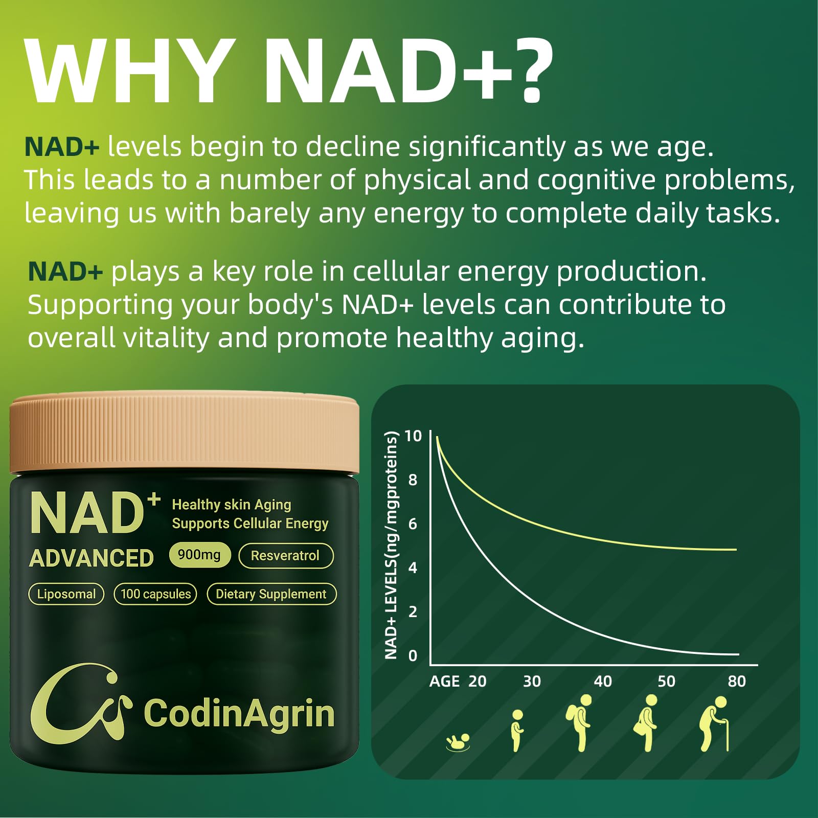 CodinAgrin NAD+ Supplement with Resveratrol 900mg Nicotinamide Adenine Dinucleotide Complex for Cellular Energy Repair, Anti-Aging & Mental Clarity Support, Non-GMO, Vegetarian Friendly, 100 Capsules CodinAgrin buy supplements canada