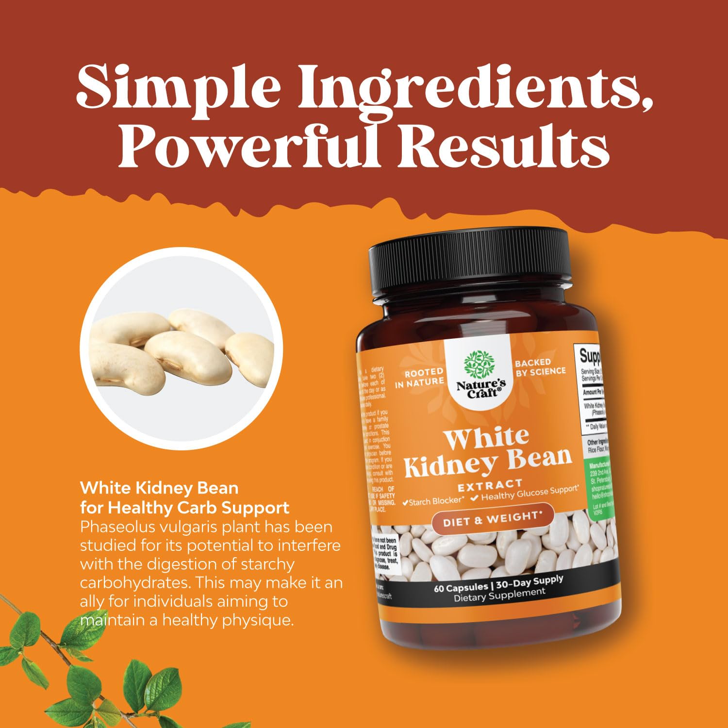 Natural White Kidney Bean Extract - White Kidney Bean Energy Booster AMPK Activator Natures Craft buy supplements canada