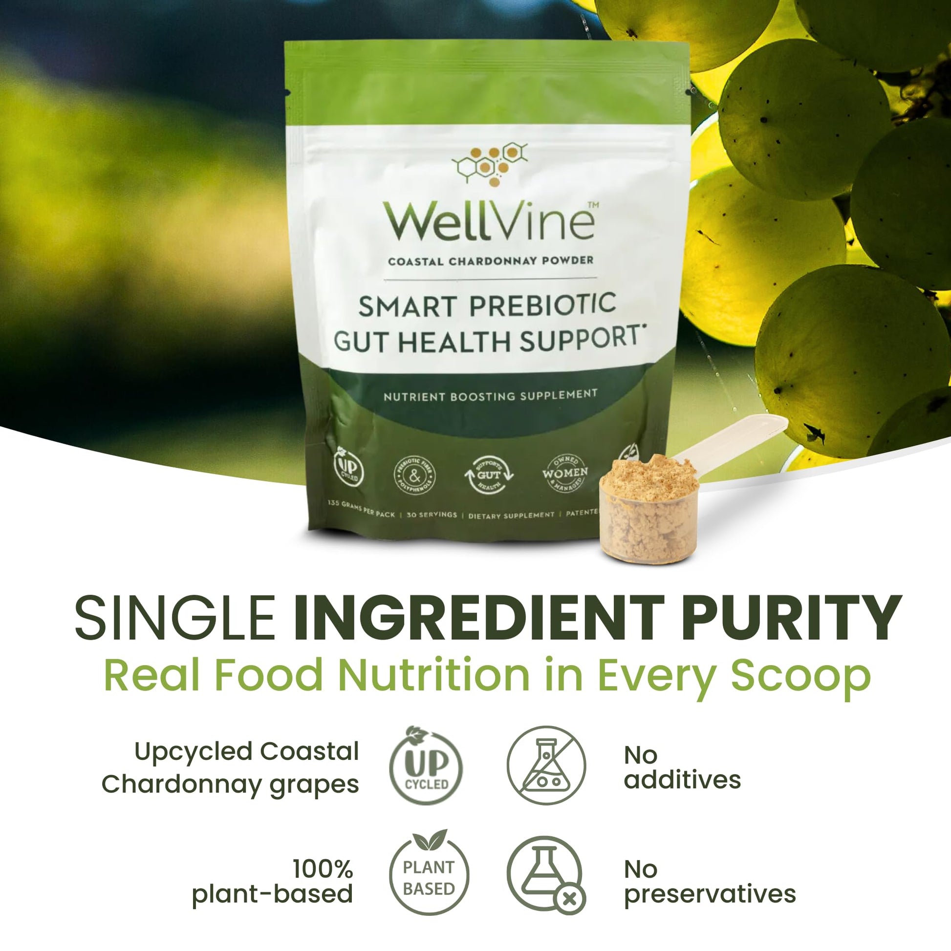 WellVine Premium Smart Prebiotic Gut Health Supplement Powder for Men & Women | Digestive Support & Gut Health With 100% Upcycled Chardonnay Grapes | Plant-Based WellVine buy supplements canada