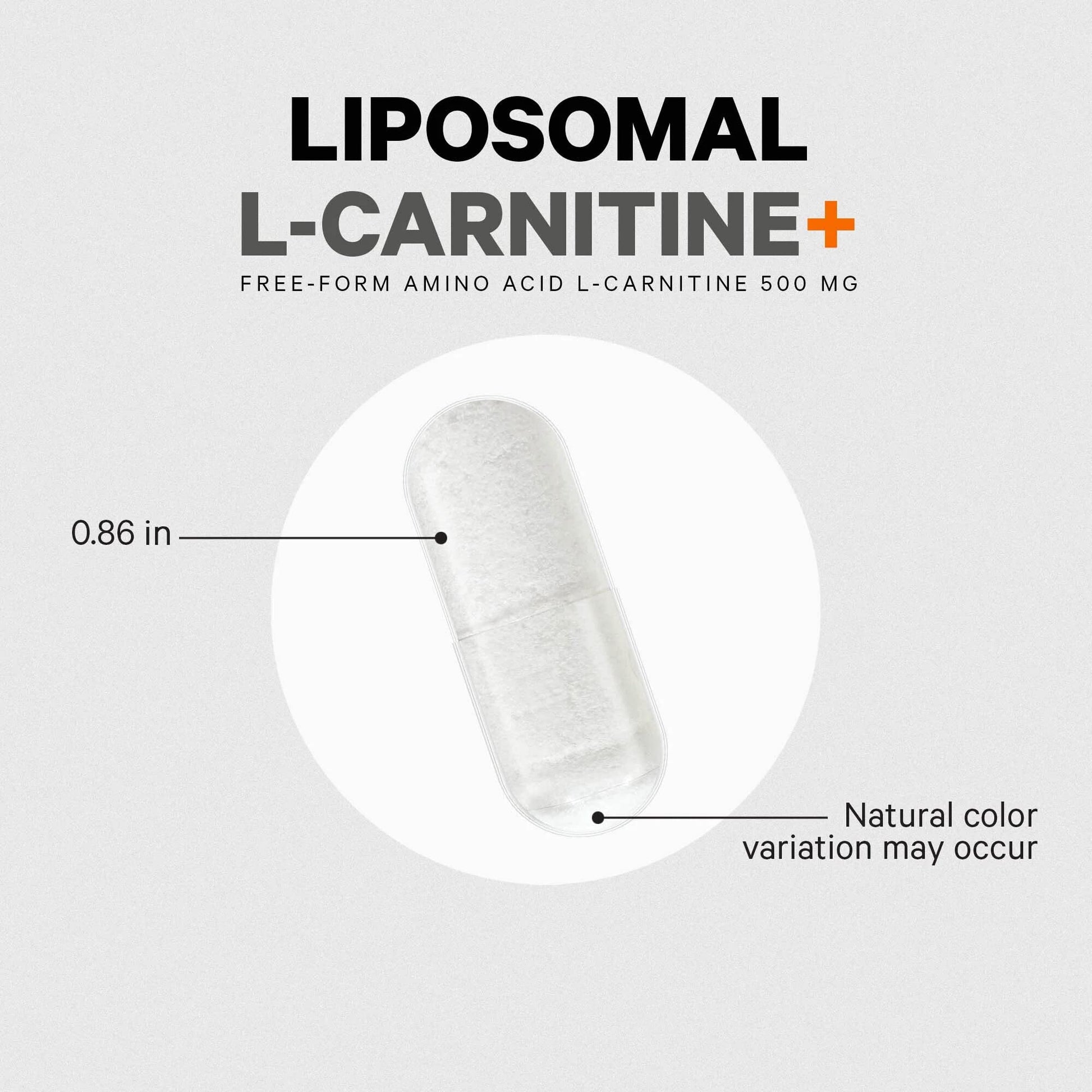 Codeage Liposomal L-Carnitine+ Supplement - 500 mg L-Carnitine L-Tartrate per Serving - Free-Form Amino Acid - Carnitine - Liposomal Delivery - Vegan, Non-GMO, Gluten-Free - 90 Capsules Codeage buy supplements canada