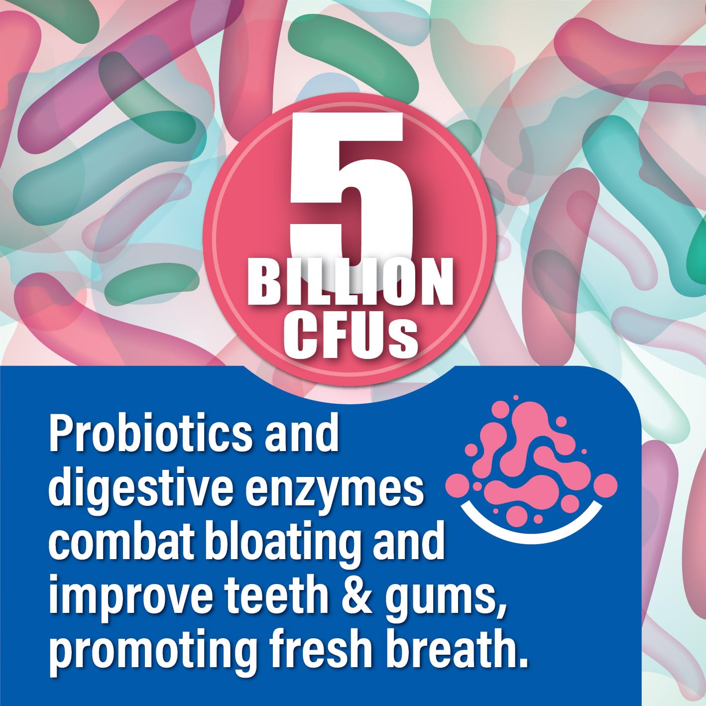 Probiotiv Chewable Probiotics for Daily Bloating w/ 5 Billion CFU – “Two-in-One Combo” Probiotiv buy supplements canada