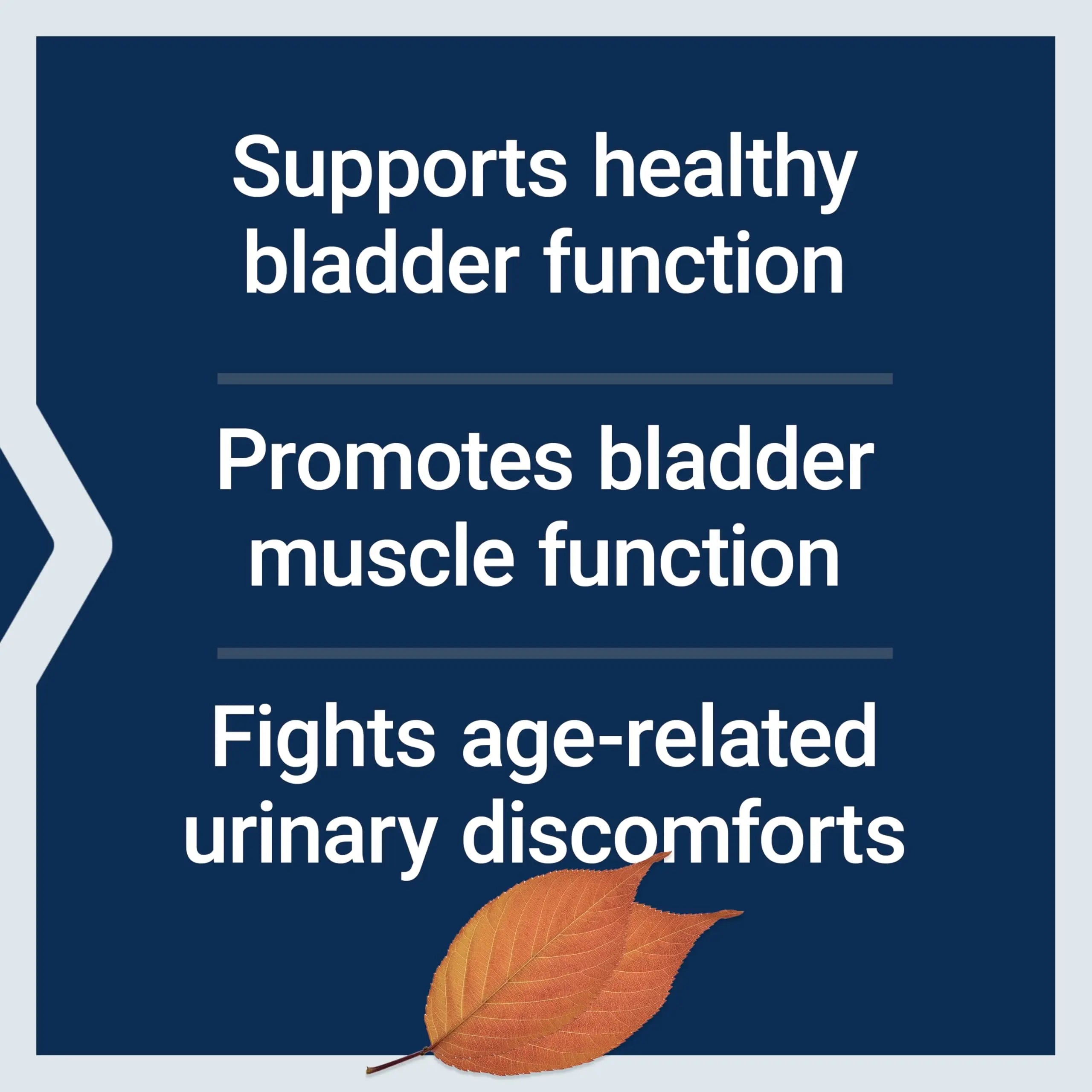 Life Extension Water-Soluble Pumpkin Seed Extract, Promotes Prostate & Urinary Tract Health, Bladder Health Support, Men, Women, Gluten-Free, Non-GMO, Vegetarian, 60 Capsules Life Extension buy supplements canada