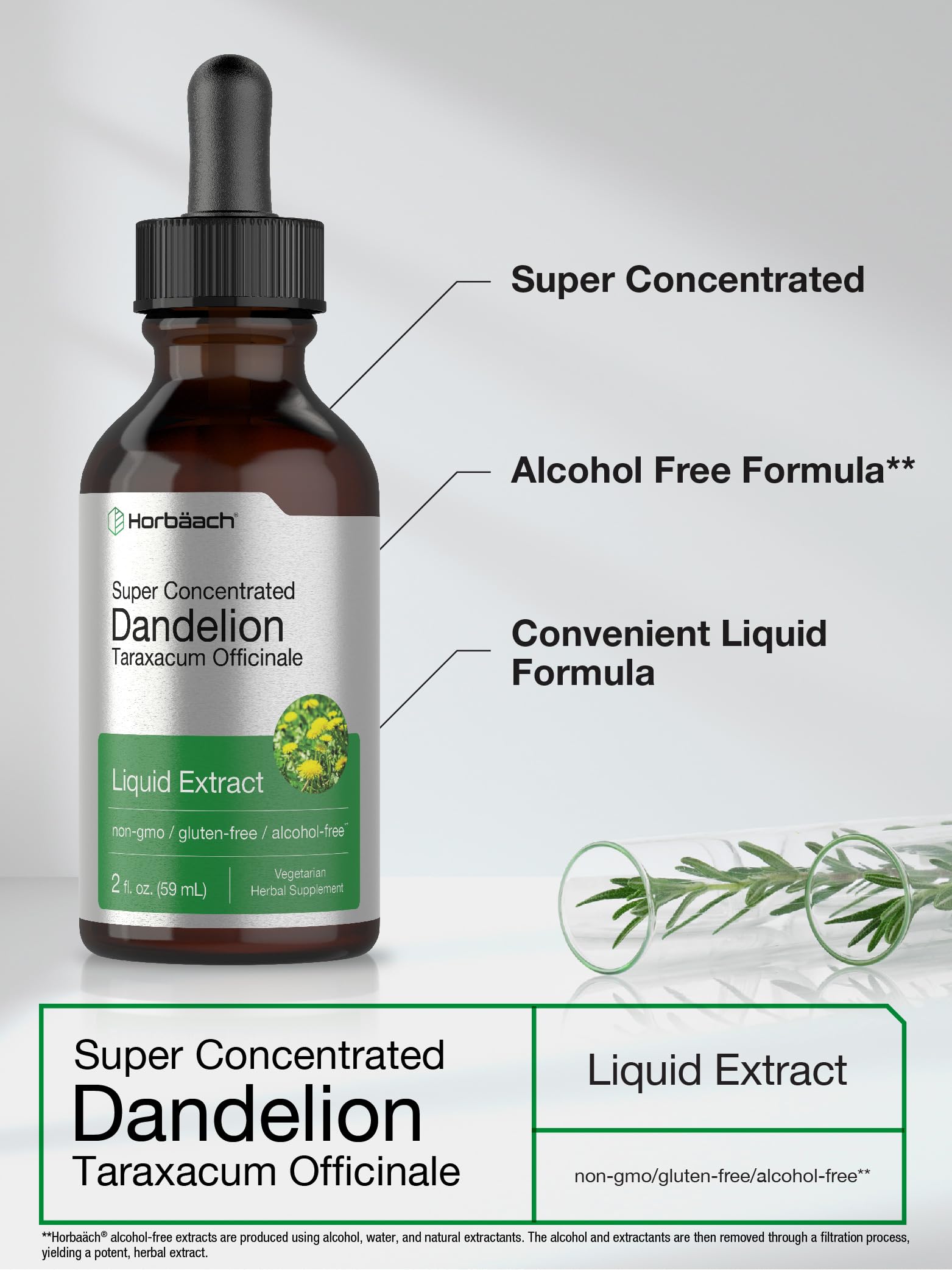Dandelion Root Extract | 2 fl oz | Super Concentrated | Alcohol Free Liquid Tincture Horbäach buy supplements canada