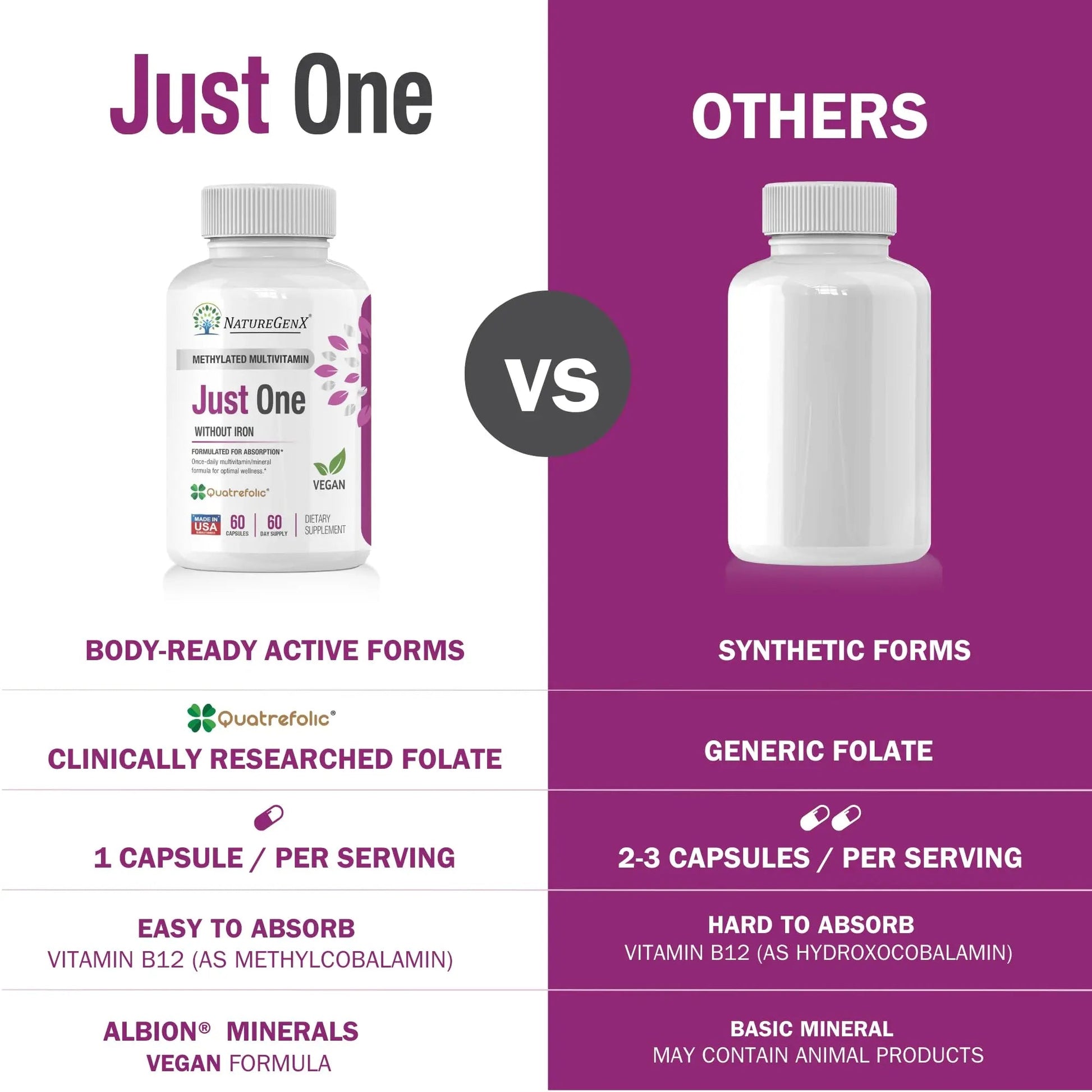 NatureGenX Just One Daily Methylated Multivitamin - 60 Caps Pure Methyl B12, Methylfolate MTHFR Support Supplement Iron Free Methylated Vitamins NatureGenX buy supplements canada