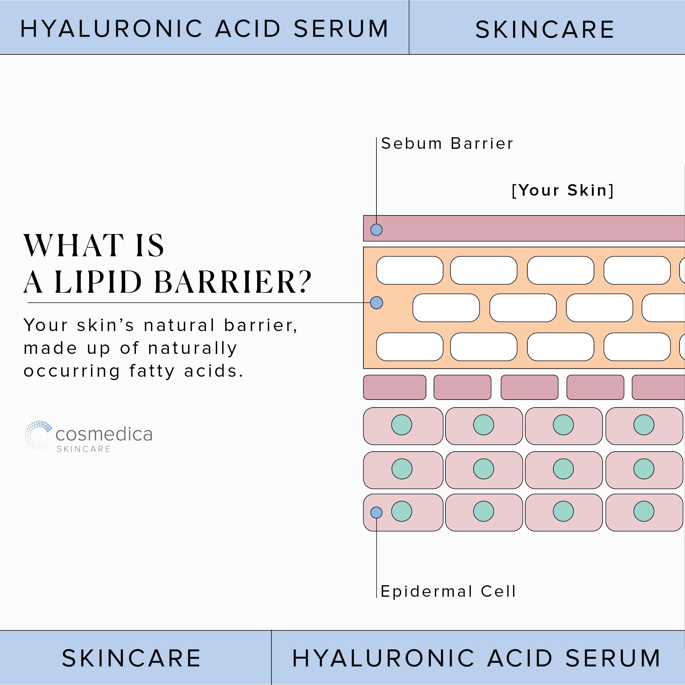 Hyaluronic Acid Serum for Skin 100% Pure Anti Aging Serum Intense Hydration Cosmedica Skincare buy supplements canada