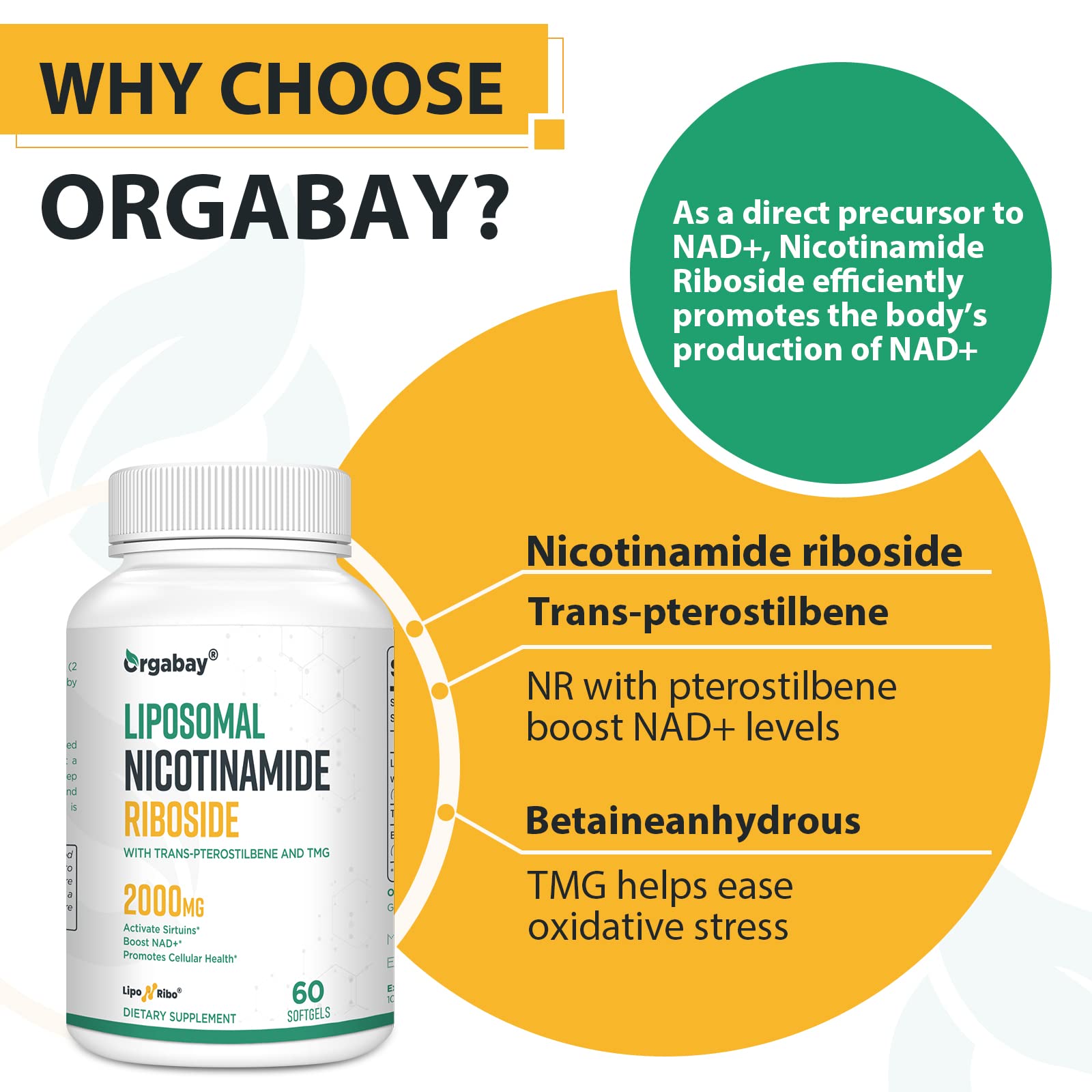 Liposomal Nicotinamide Riboside 2000 MG with TMG and Pterostilbene, Similar to NMN Supplements Boost NAD+, Support Healthy Aging, 240 Count Orgabay buy supplements canada