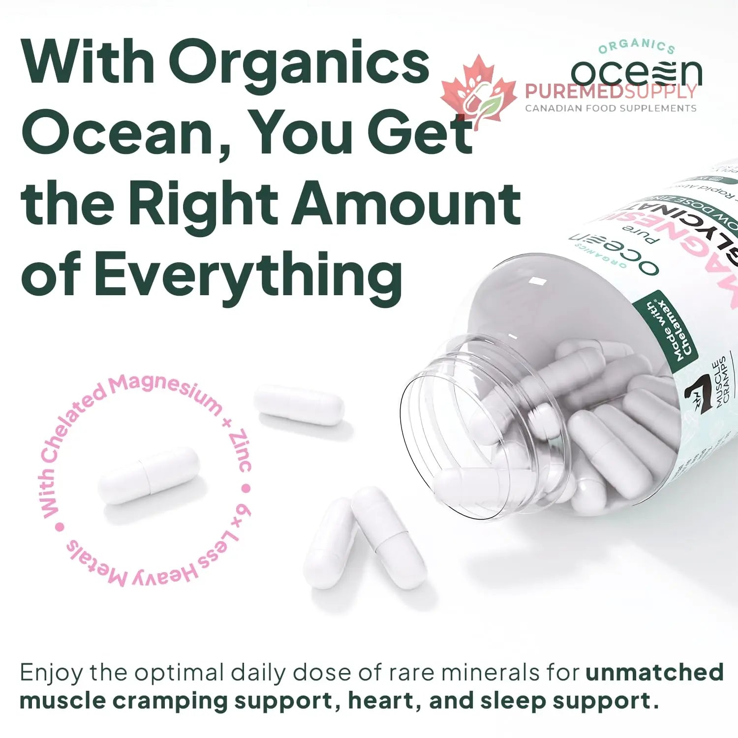 Organics Ocean Pure Magnesium Glycinate with Zinc - Maximum Strength Chelated Magnesium Supplement for Women and Men for Muscle Cramps and Sleep Support - 90 Capsule Organics Ocean buy supplements canada