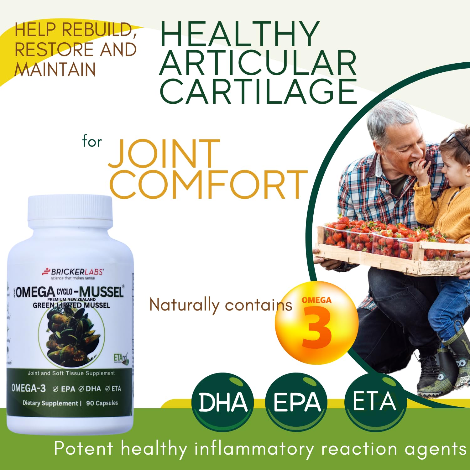 Bricker Labs Omega Cyclo - Mussel Joint Health Supplement, Premium New Zealand Green Lipped Mussel, Full Spectrum Omega Joint Supplements for Joint Health and Comfort, 90 Capsules Bricker Labs buy supplements canada
