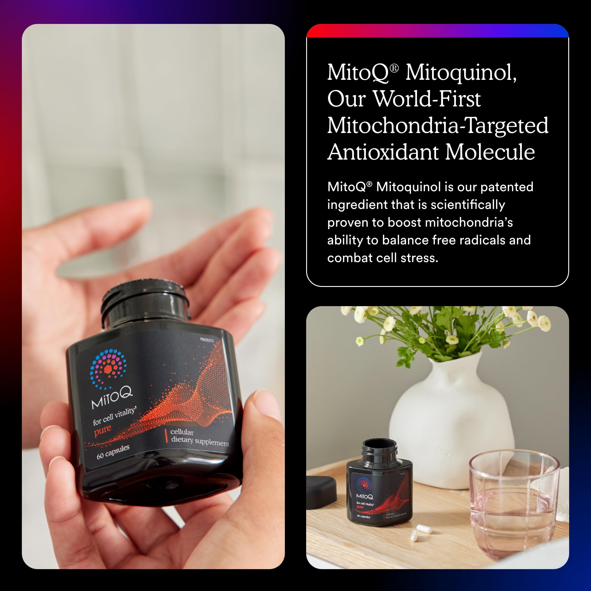 MitoQ Pure Advanced Mitochondria Supplement Superior Bioavailability to CoQ10 | Reduces Free Radical Damage for Healthy Aging, Metabolism, Heart Health, Energy, Strength & Mobility MitoQ buy supplements canada