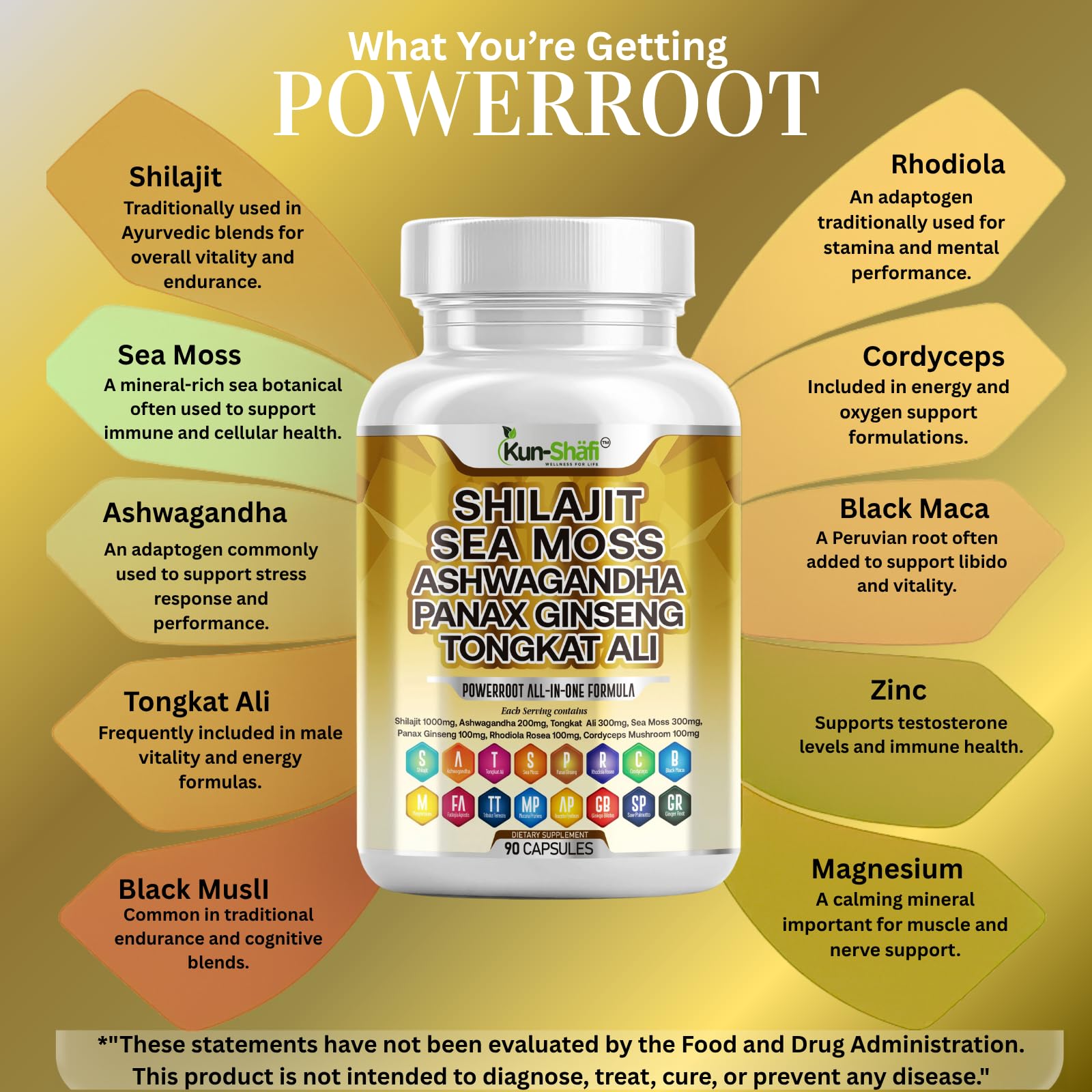 Kun Shafi Shilajit Complex – Sea Moss, Tongkat Ali, Ashwagandha, Ginseng, Zinc, CoQ10, PQQ & Magnesium – Fulvic Acid Capsules for Energy, Vitality & Performance with Panax Cordyceps – 90 Capsules Kun Shafi buy supplements canada