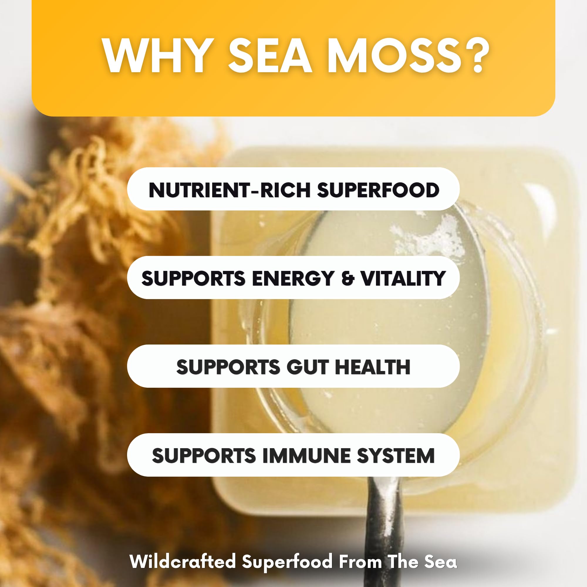 Joy Sea Moss Wildcrafted Irish Sea Moss Gel 16 oz | Made in USA | Gold Seamoss Superfood | Rich in Vitamins & Minerals | Real Fruit | Nutritional Supplement | Mango Joy Sea Moss buy supplements canada